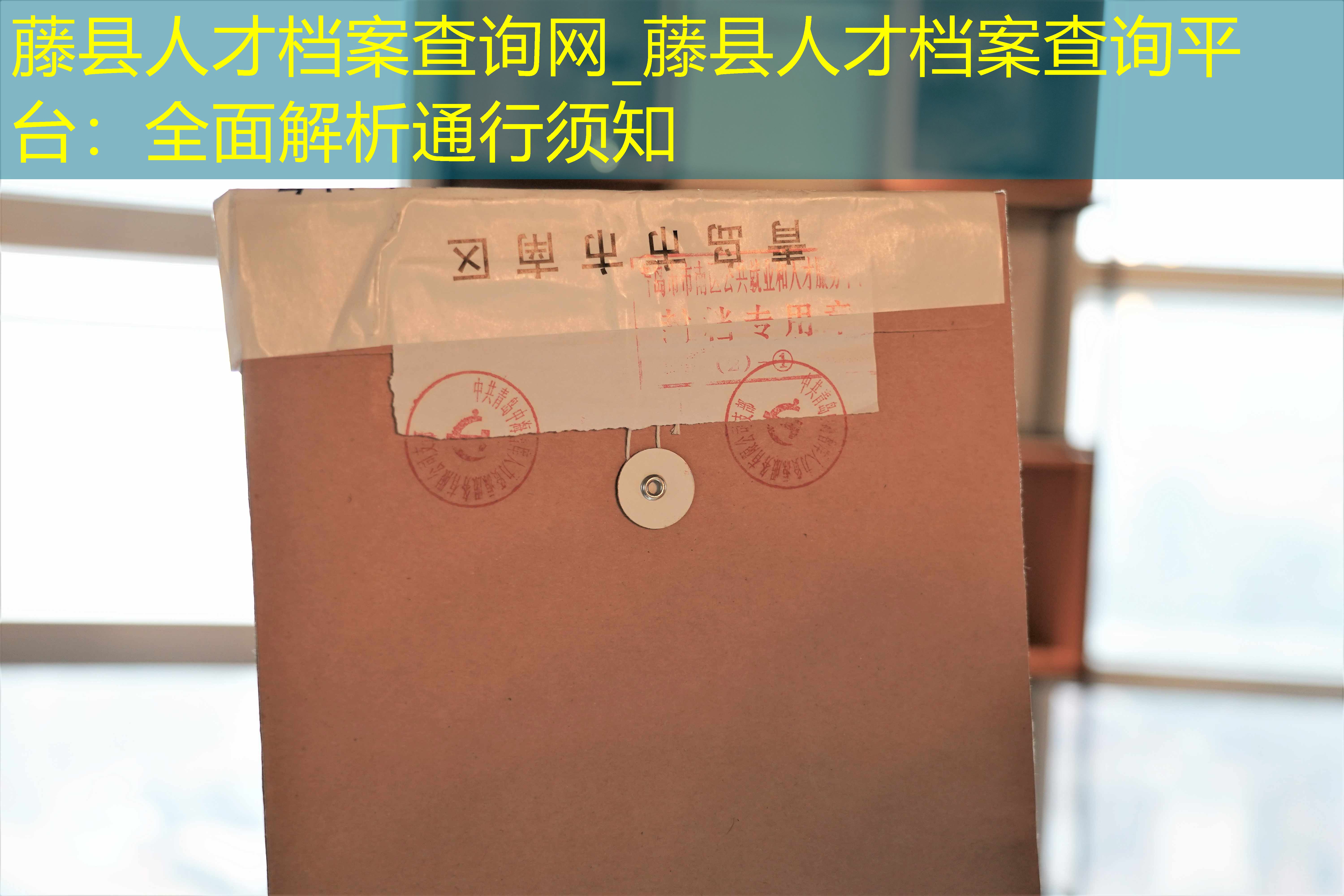 档案查询