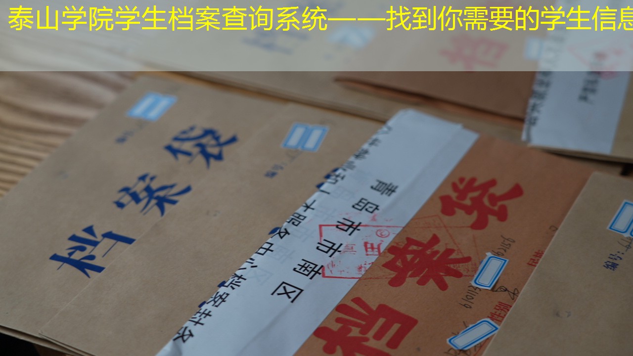 档案查询