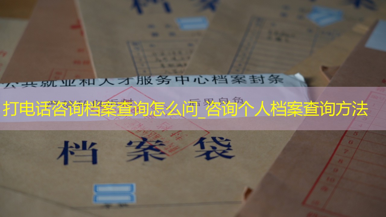 档案查询