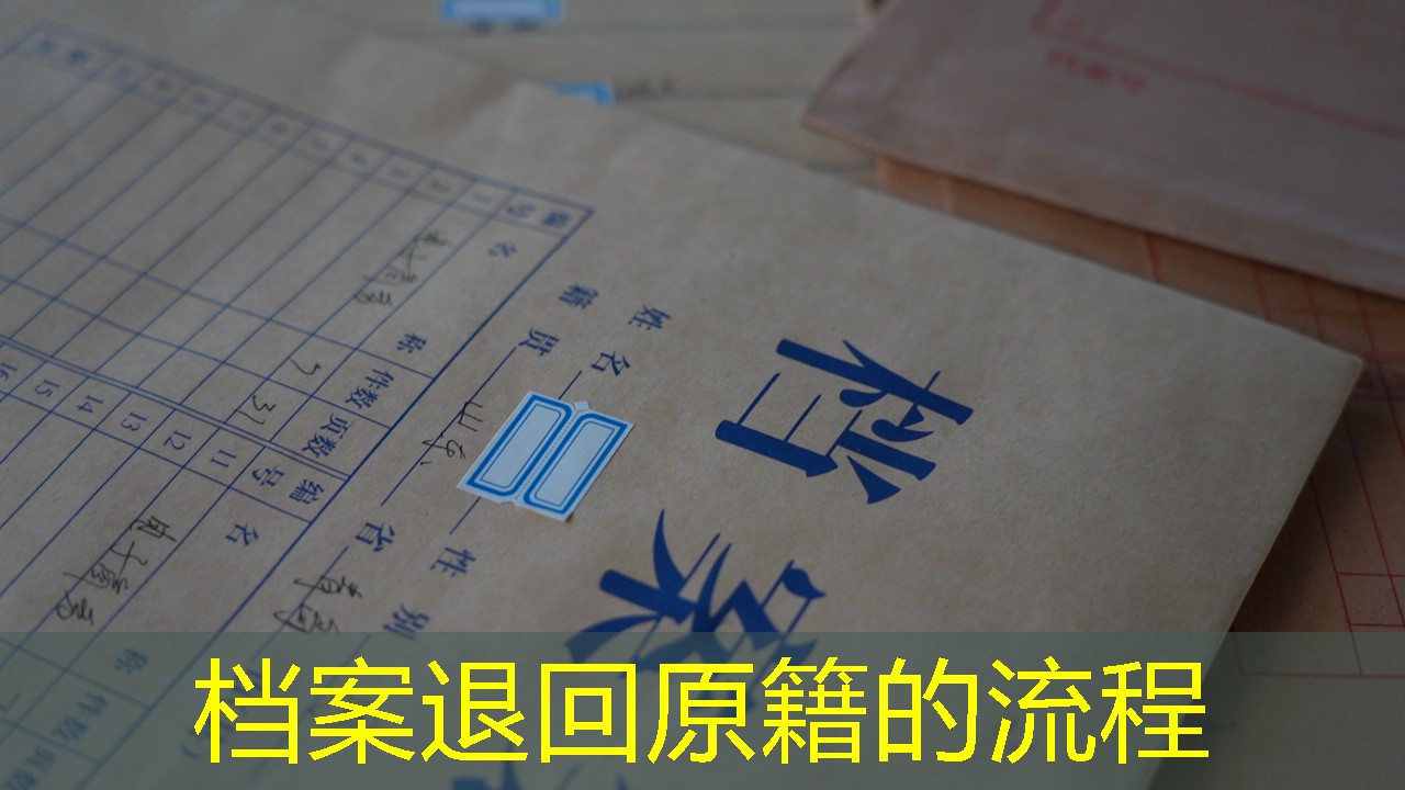 档案查询