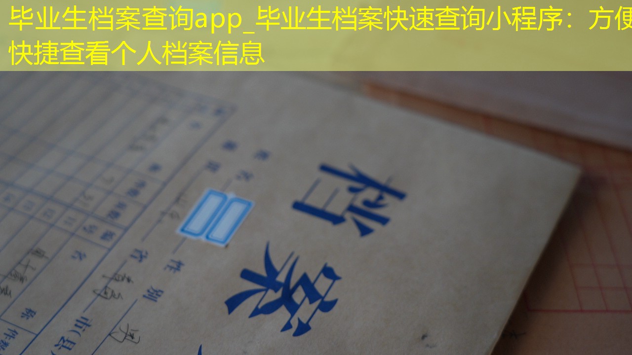 档案查询