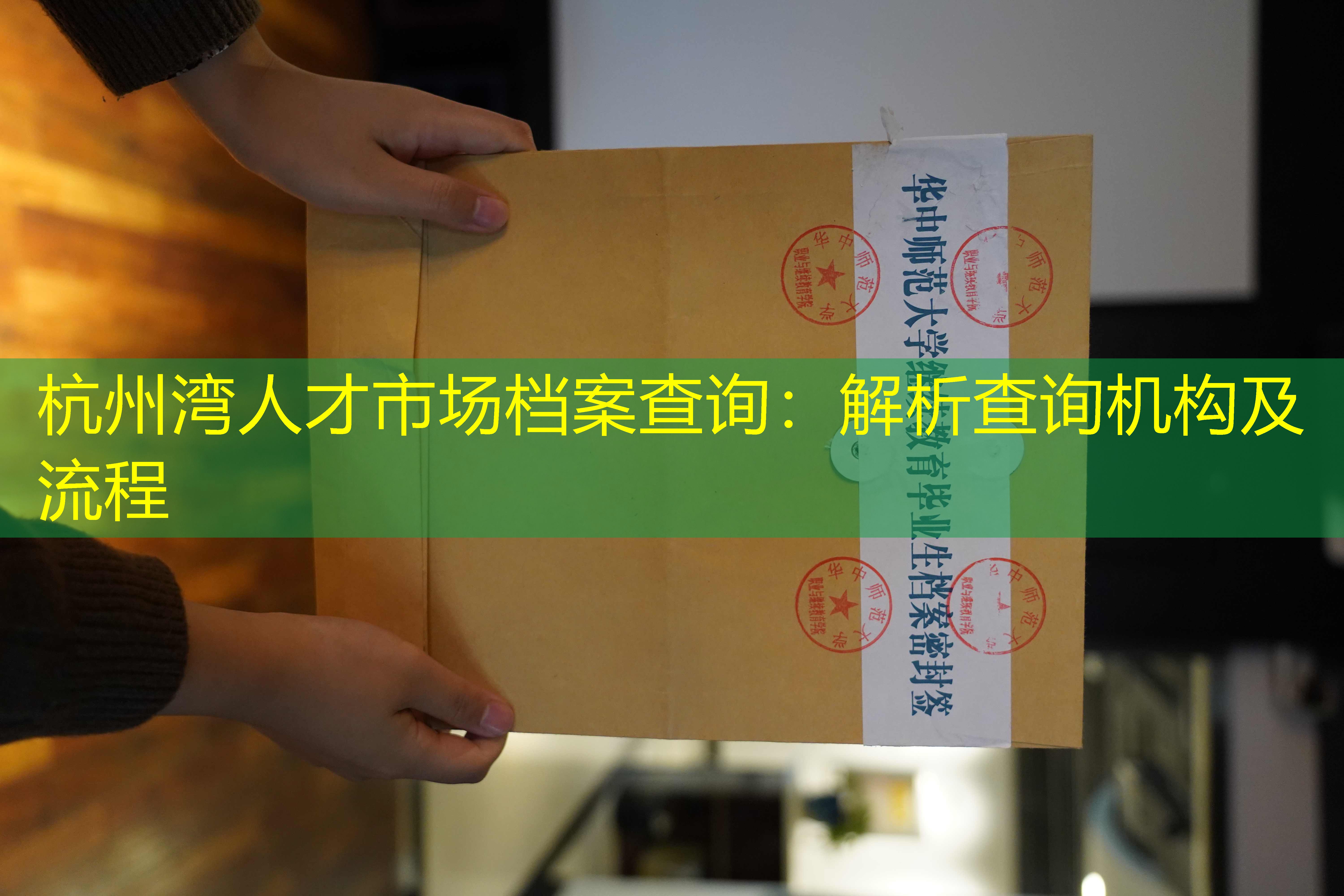 档案查询