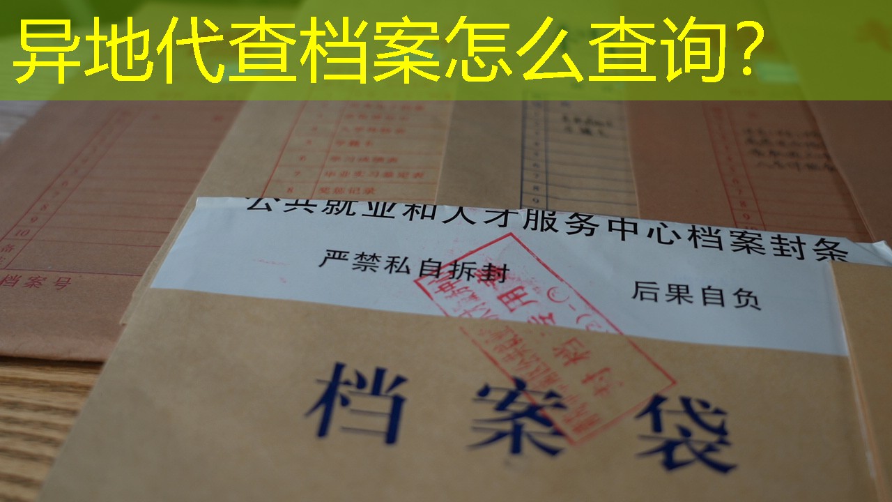 档案查询