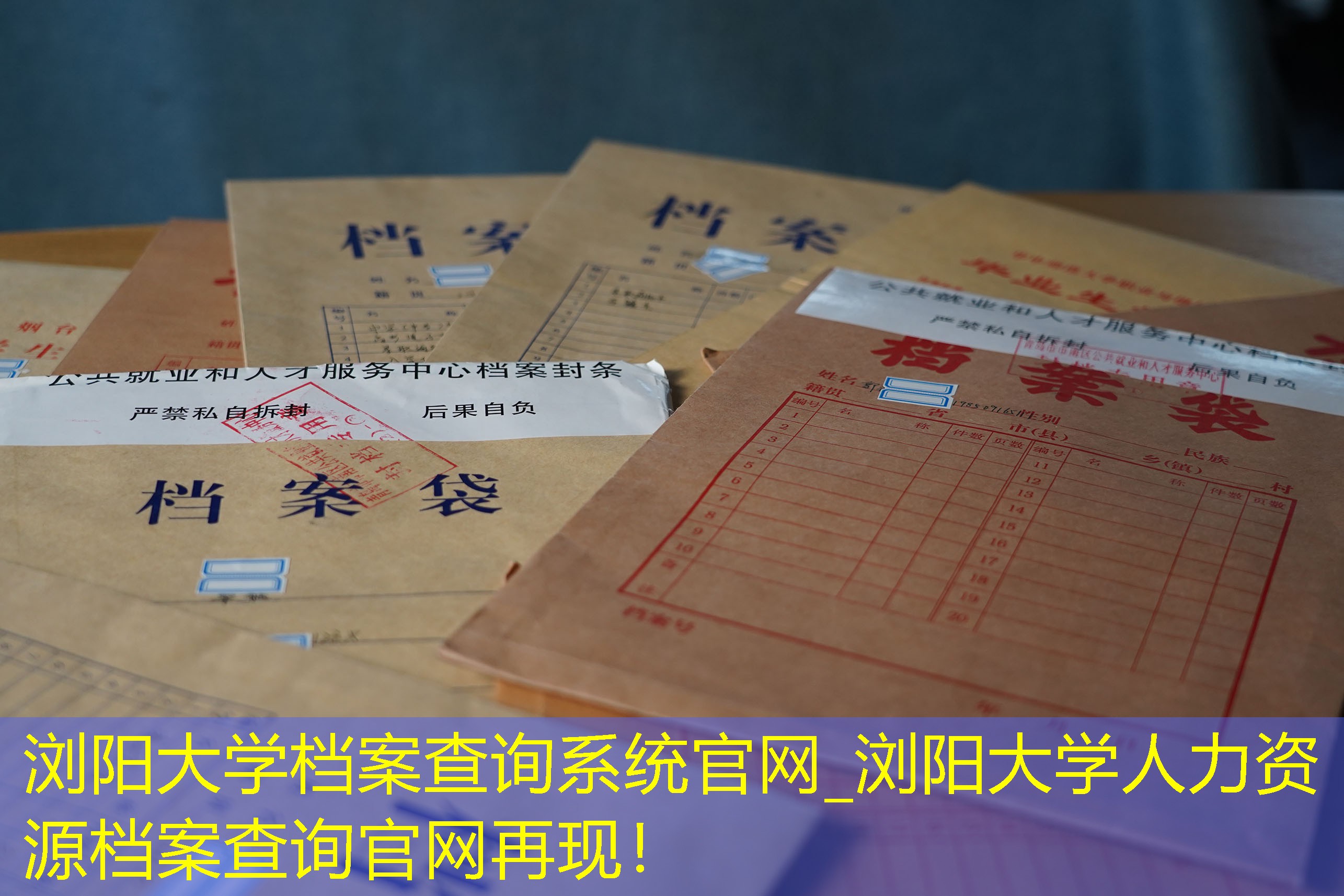 档案查询