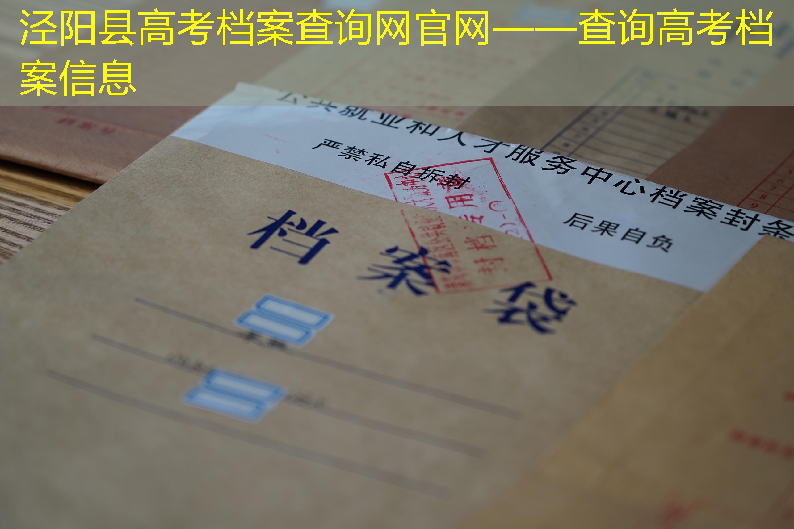 档案查询