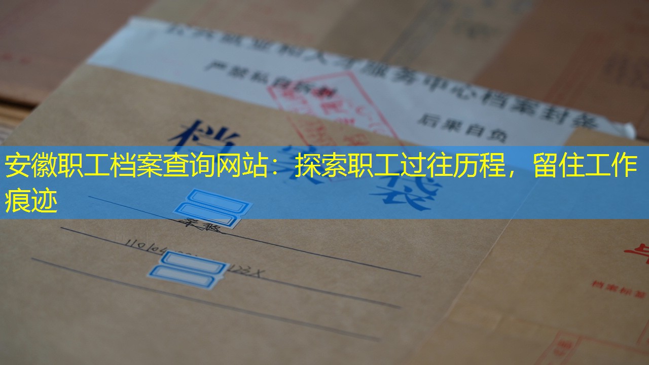 档案查询