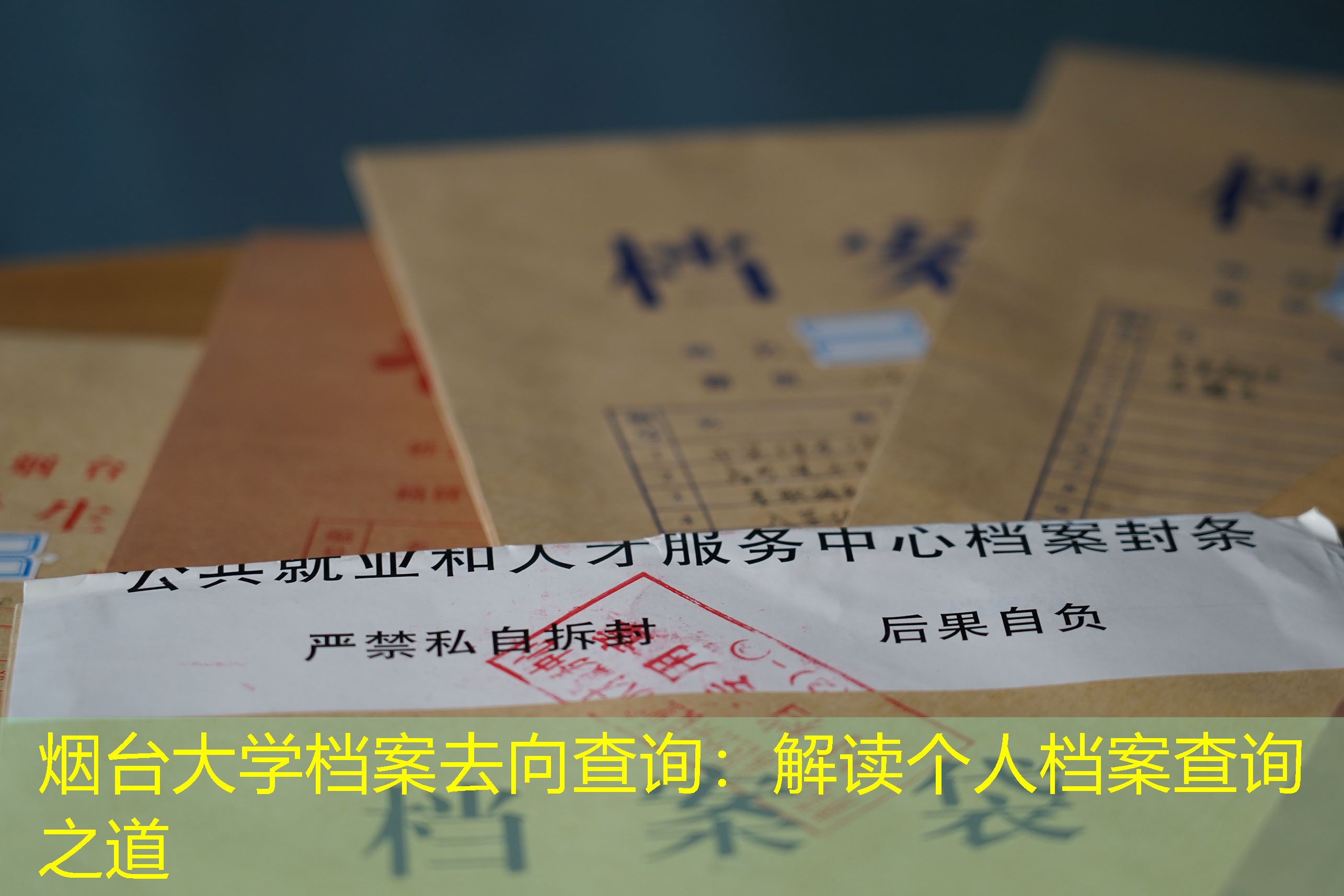 档案查询