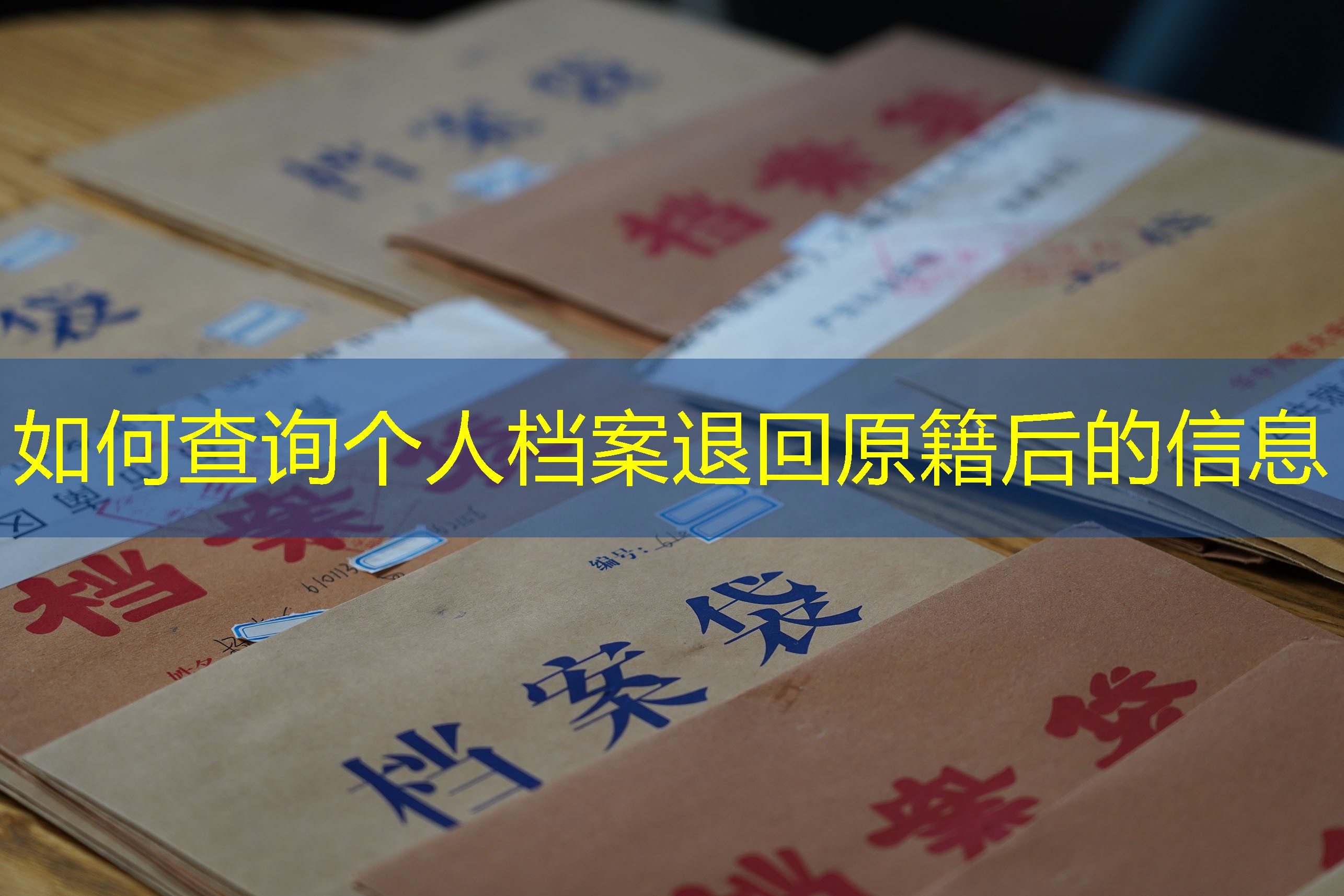 档案查询
