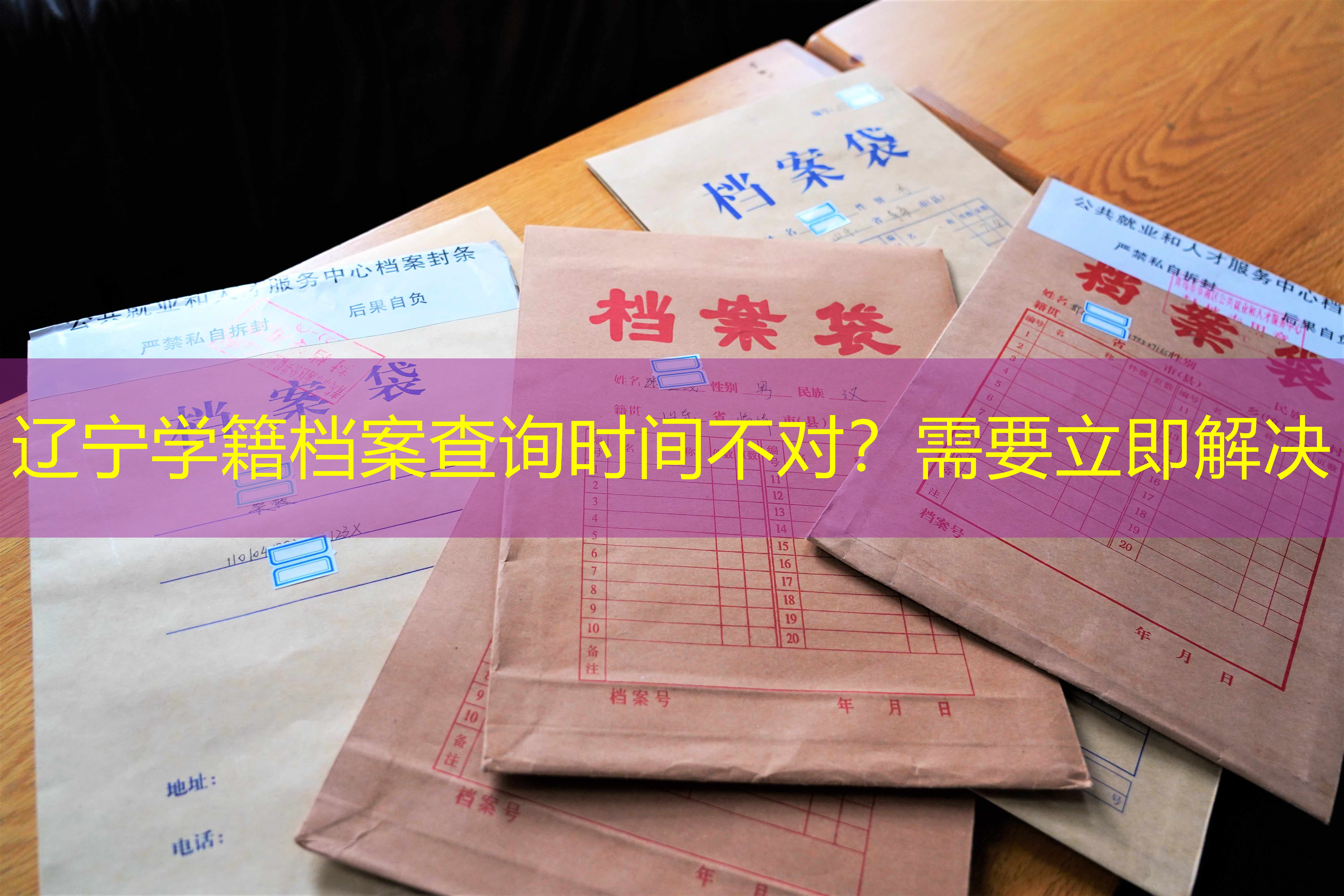 档案查询