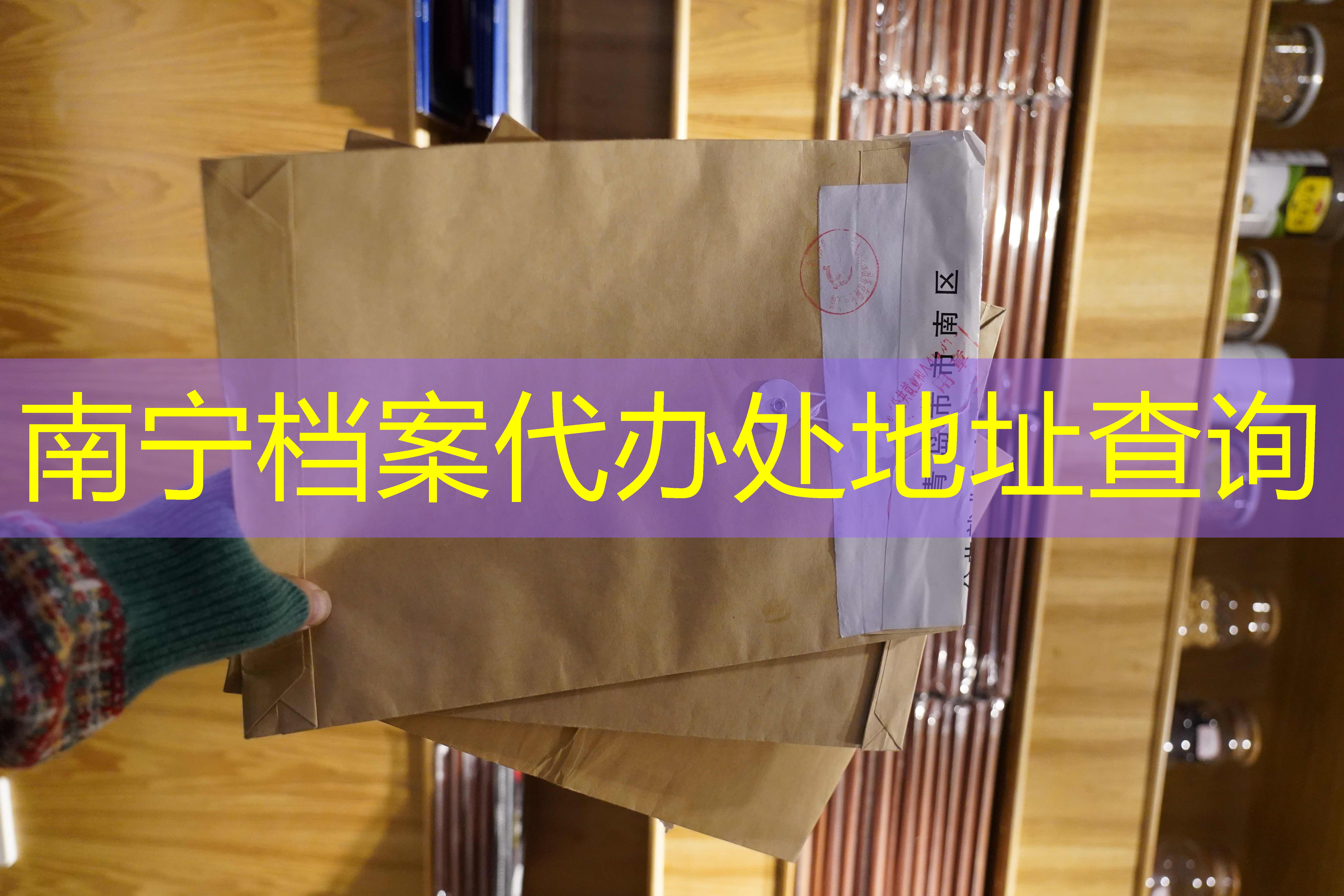 档案查询