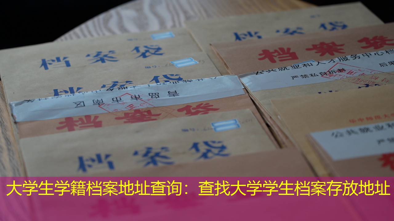 档案查询