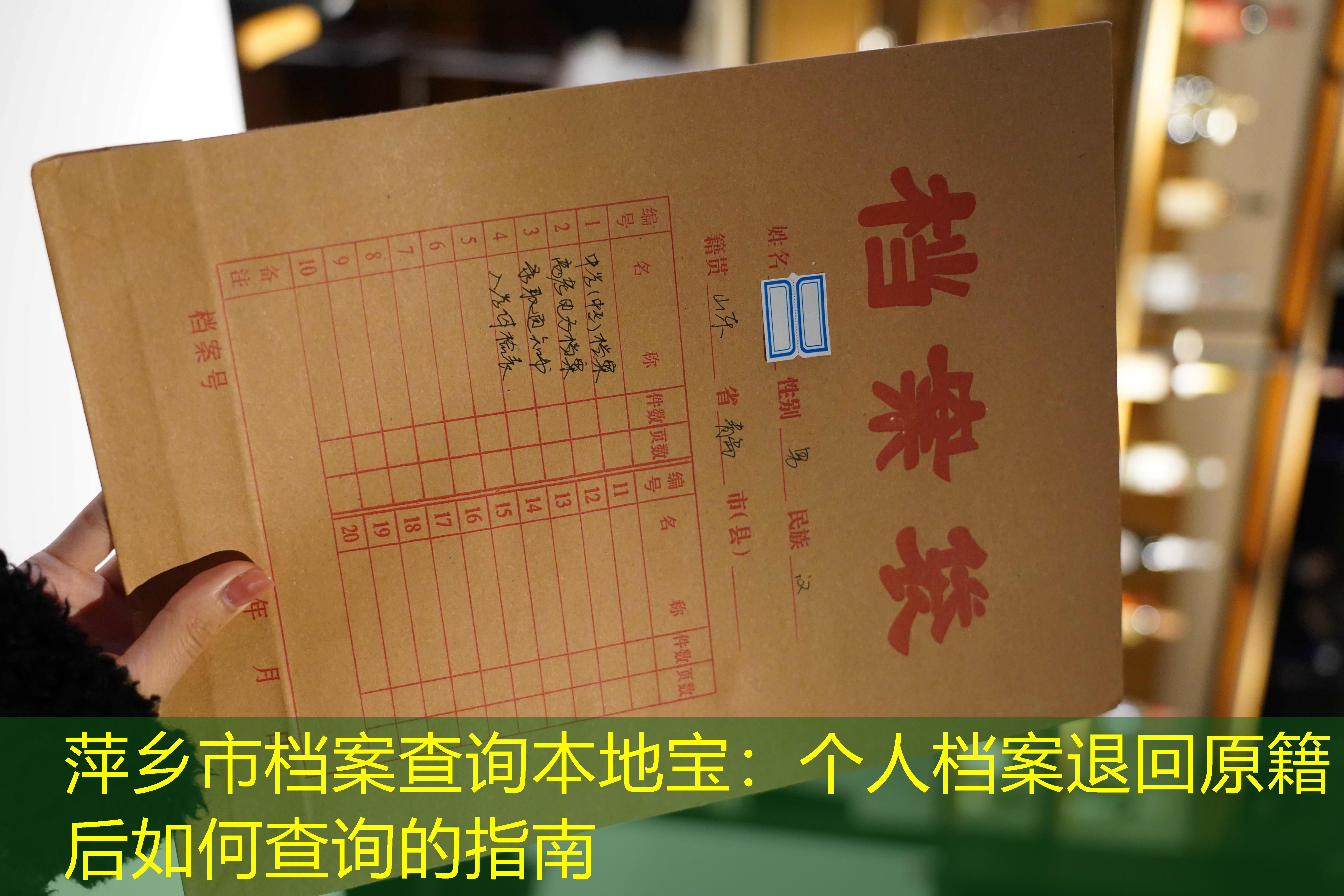 档案查询