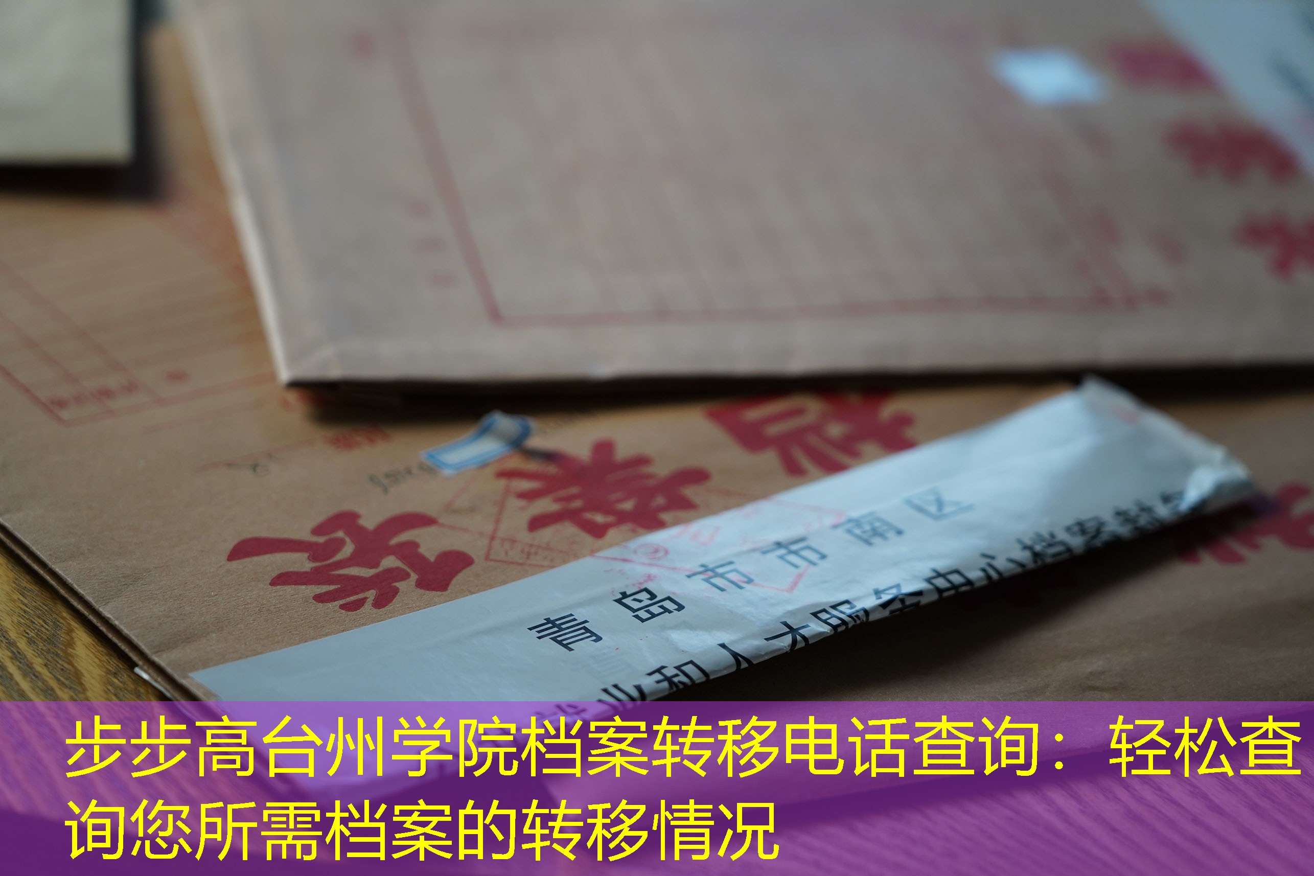 档案查询