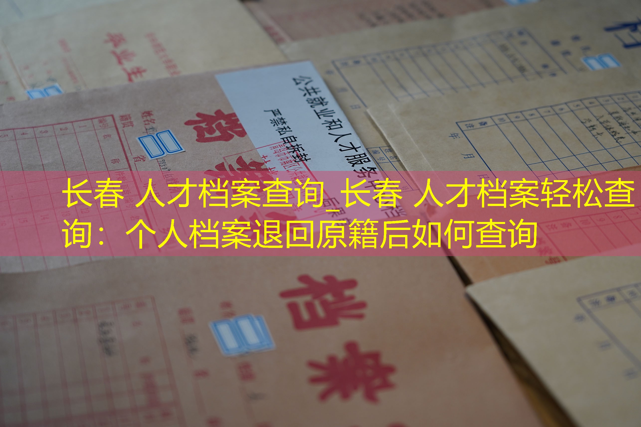 档案查询