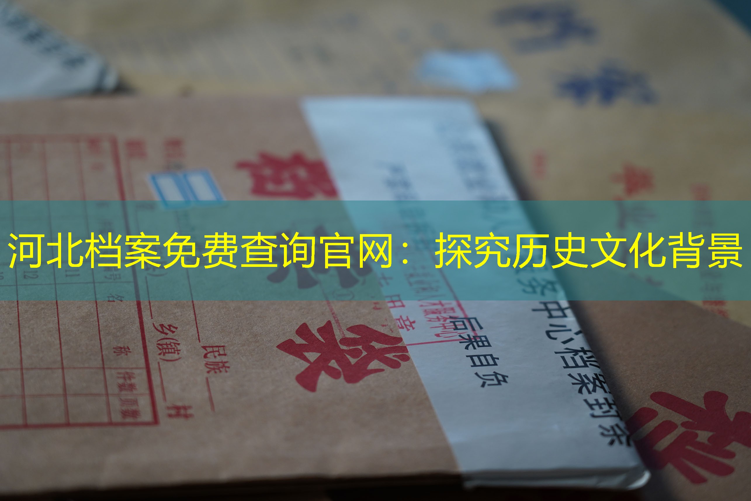 档案查询