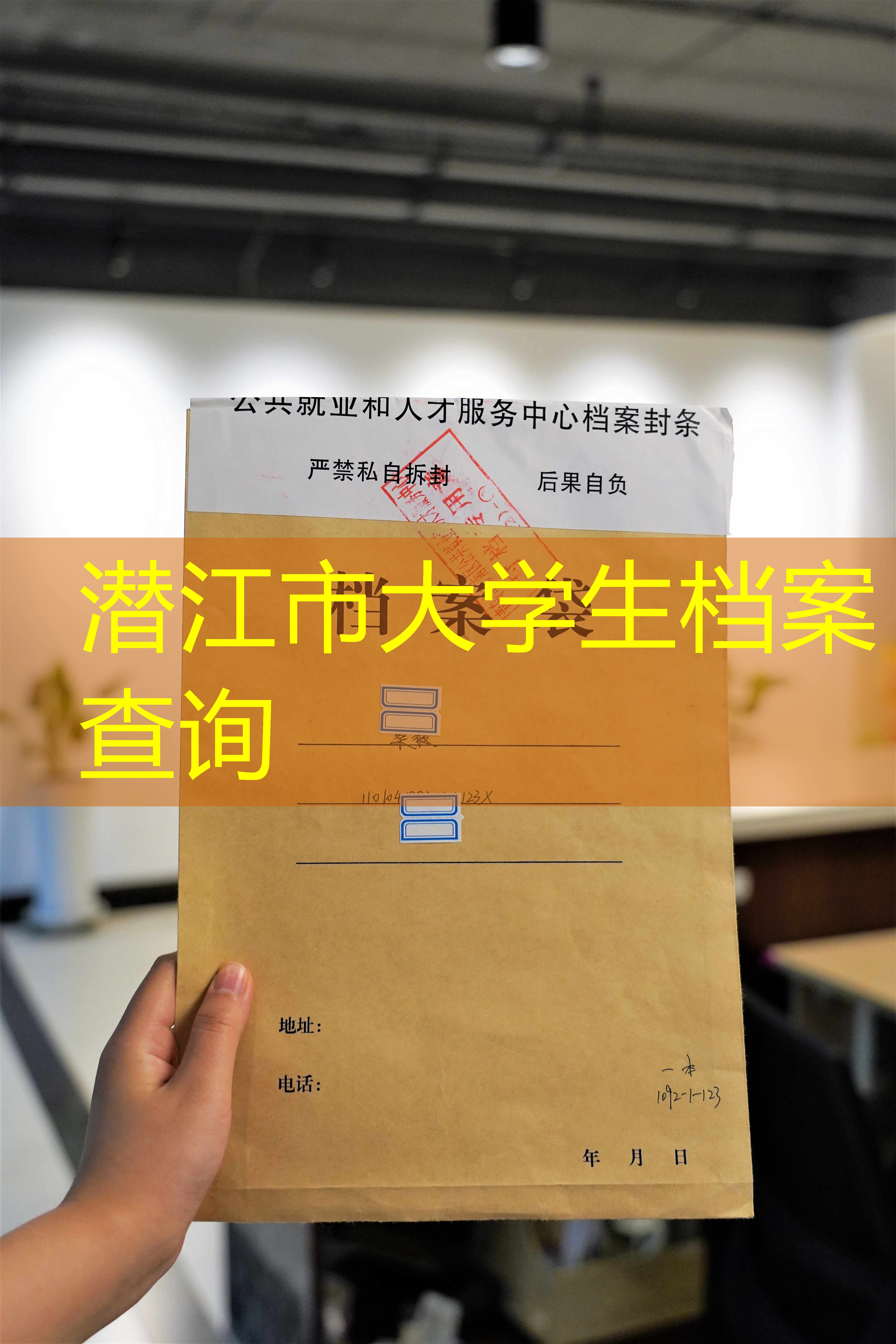 档案查询