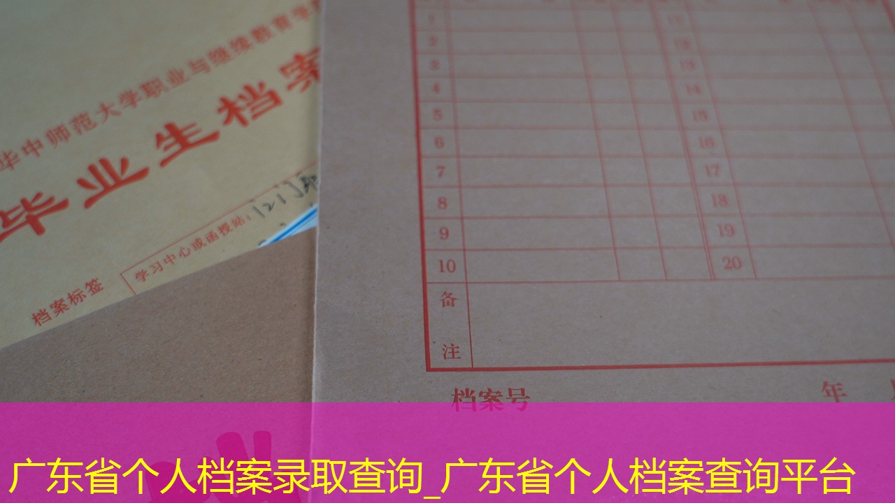 档案查询