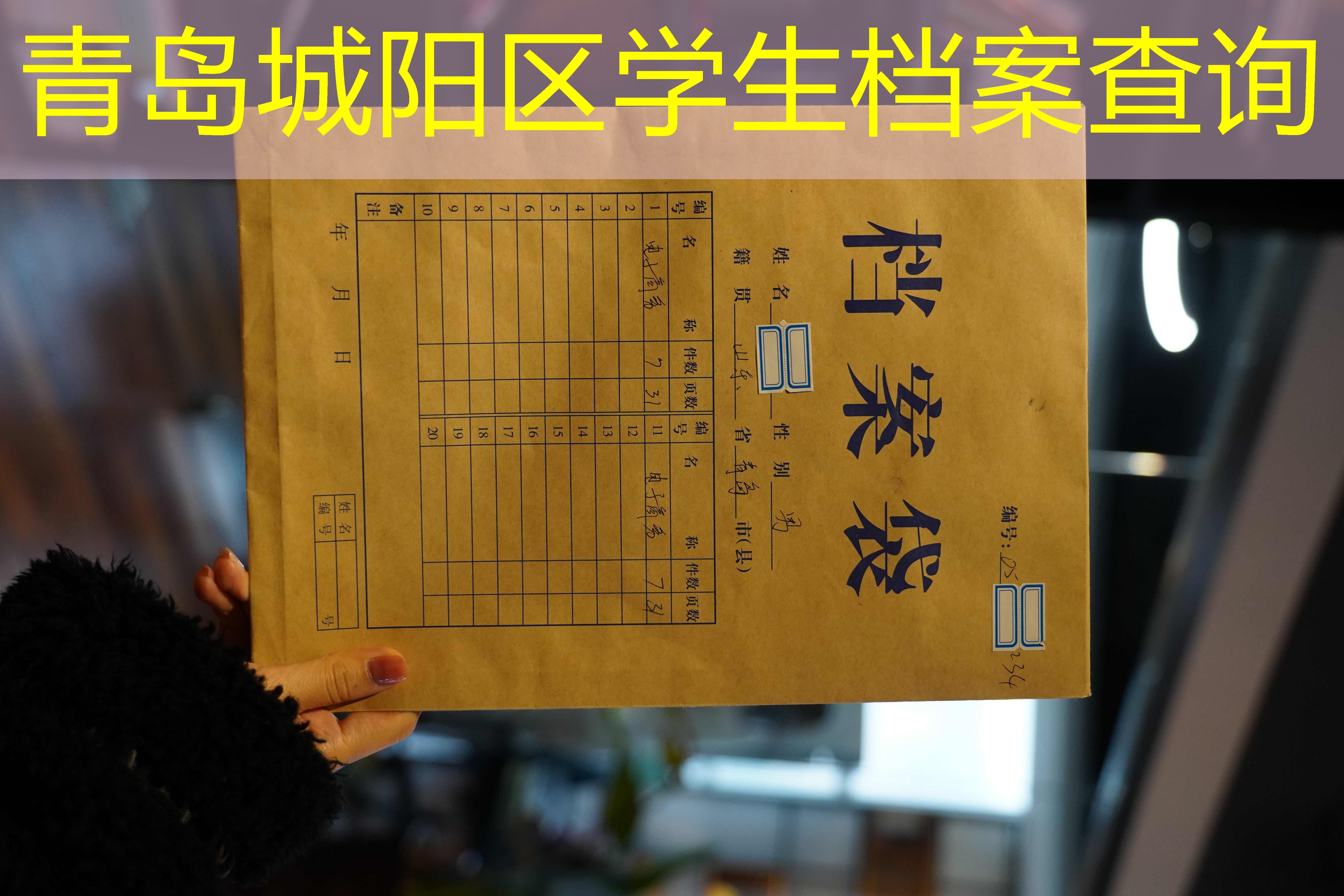 档案查询