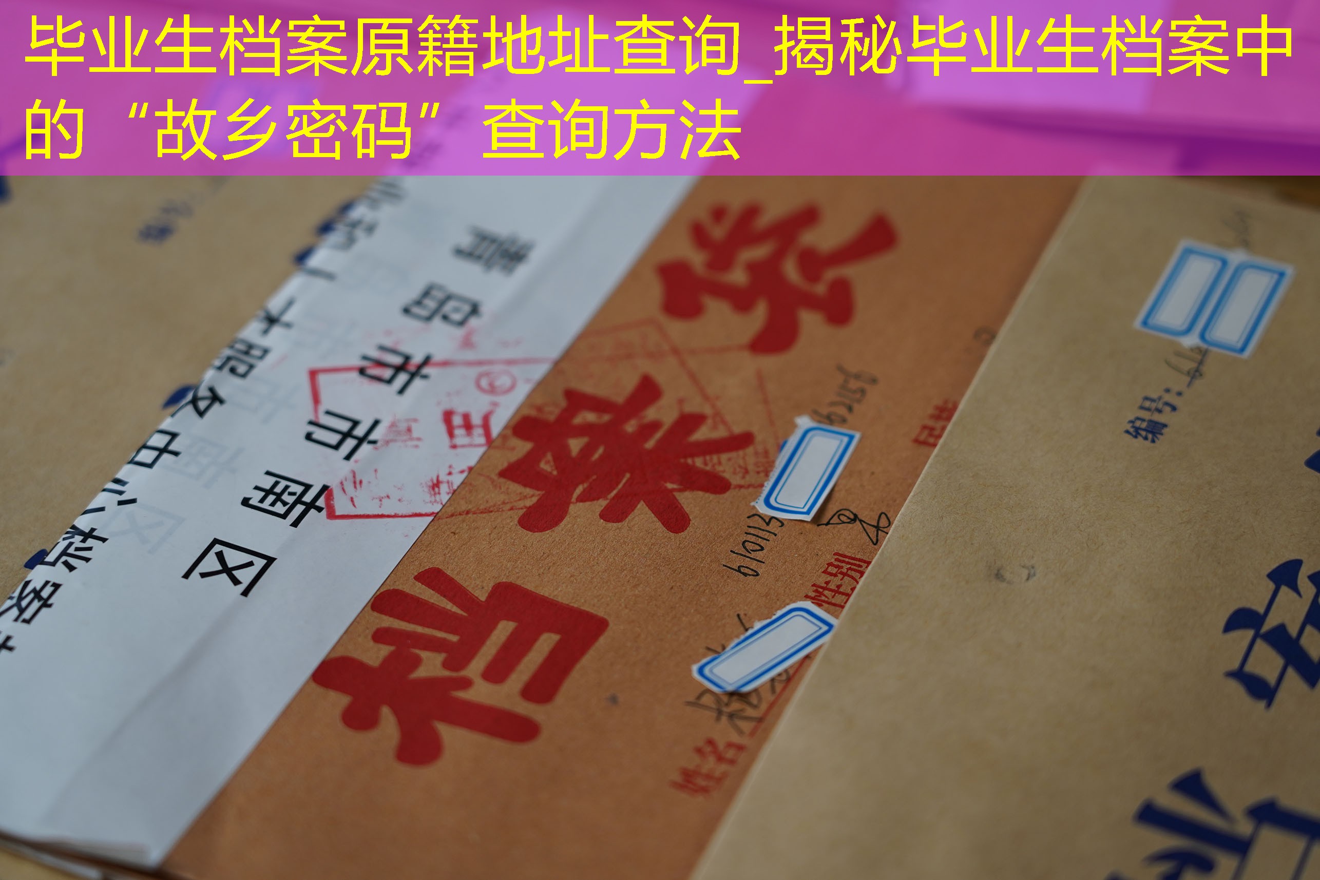 档案查询