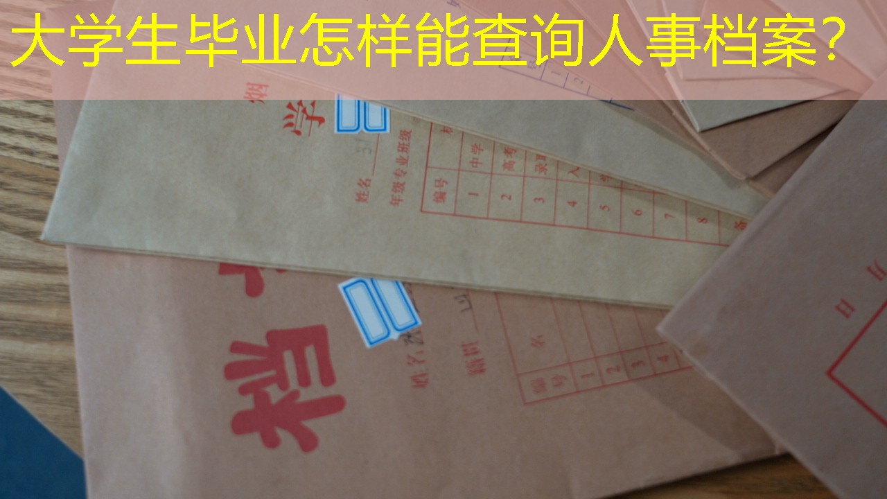 档案查询