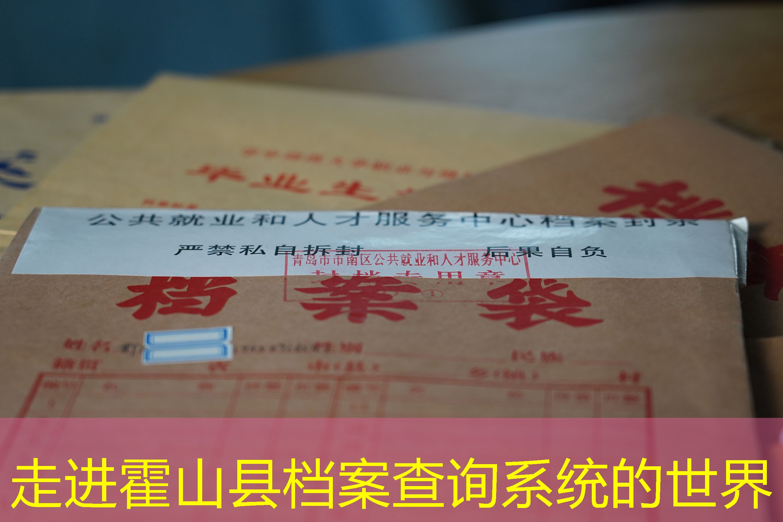 档案查询