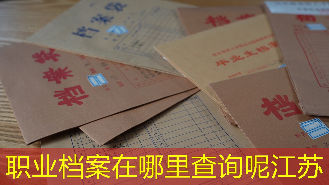 档案查询