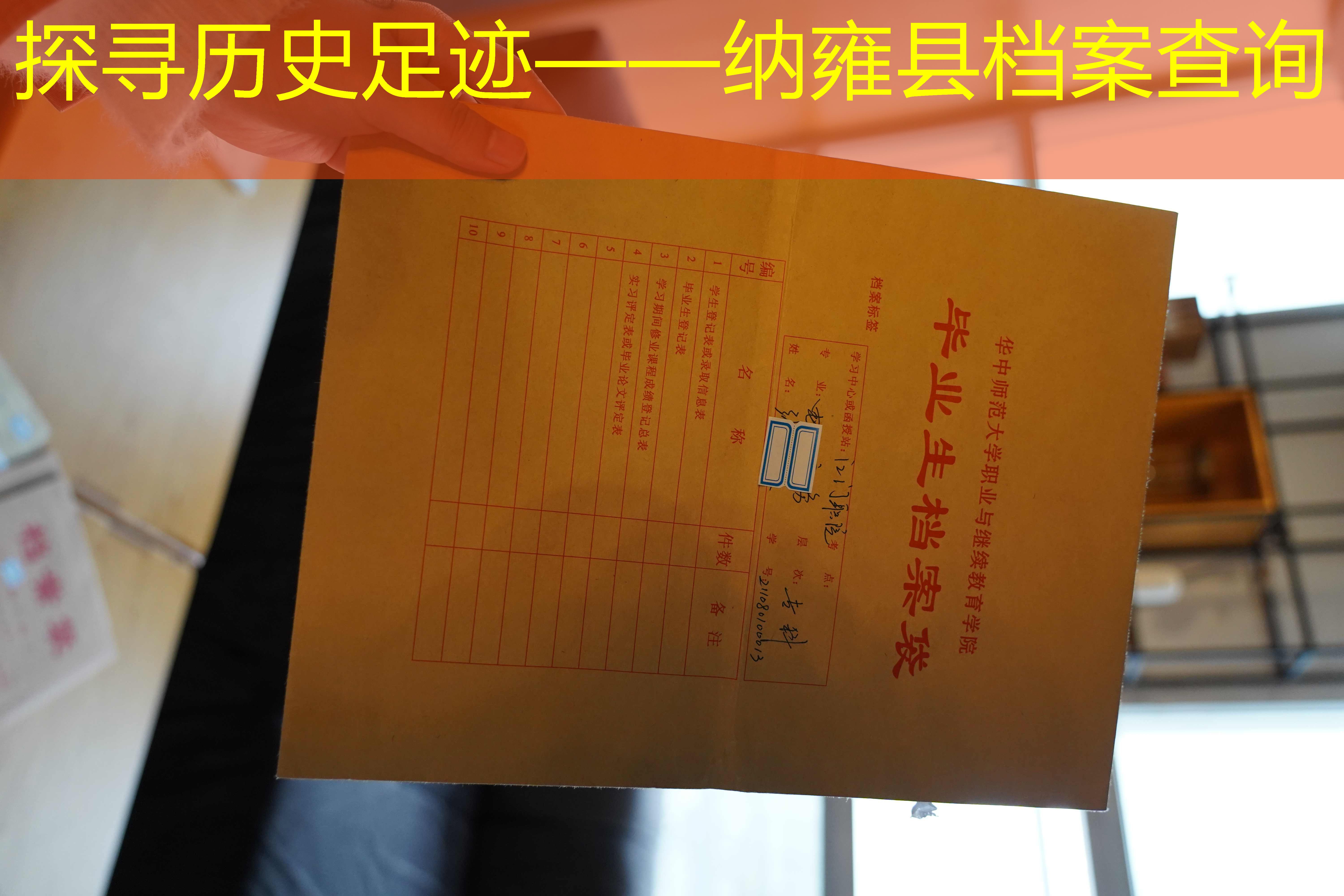 档案查询