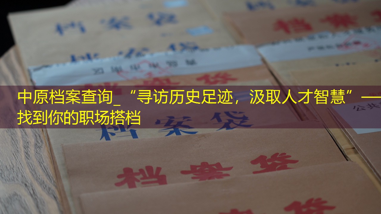 档案查询