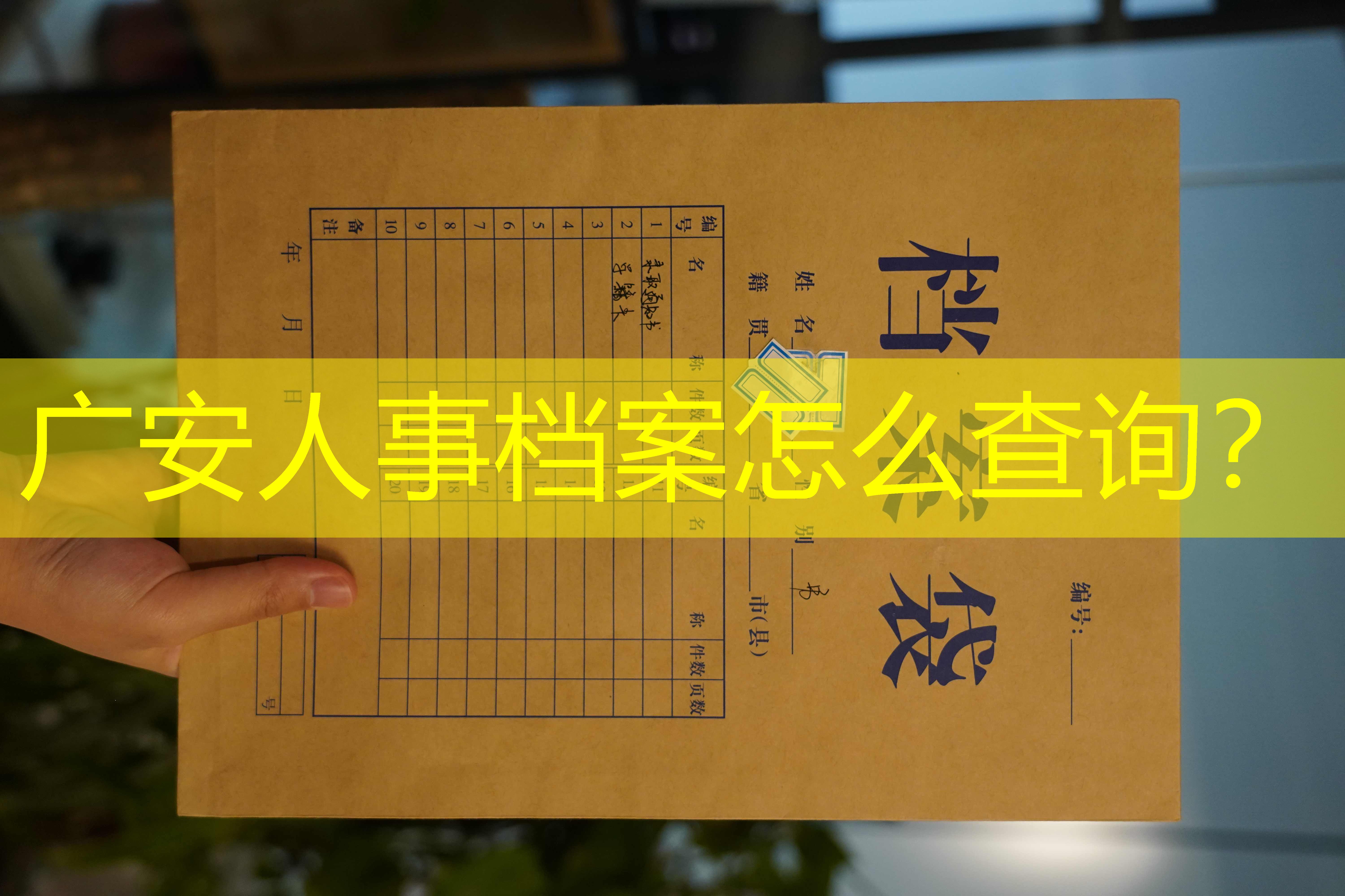 档案查询