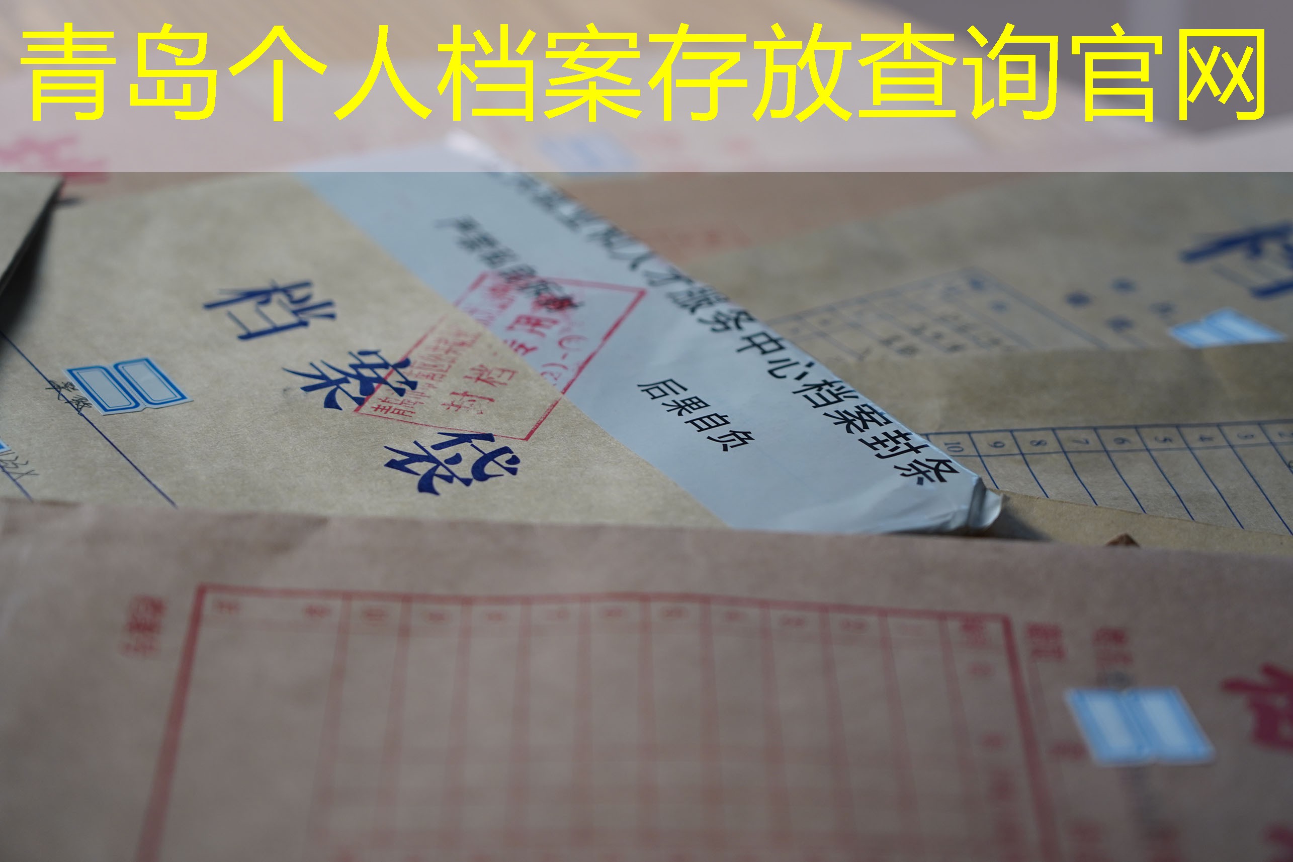 档案查询