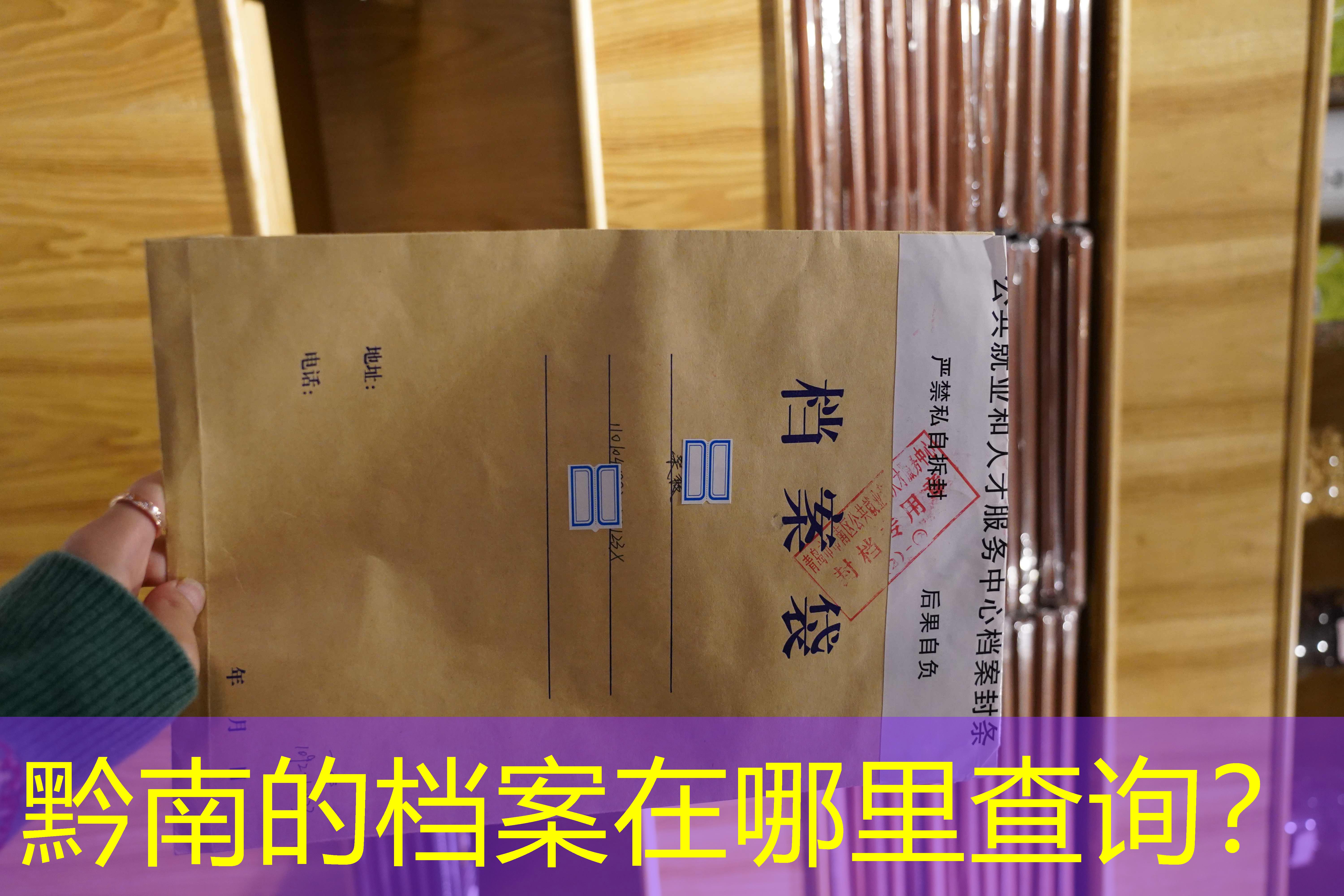 档案查询