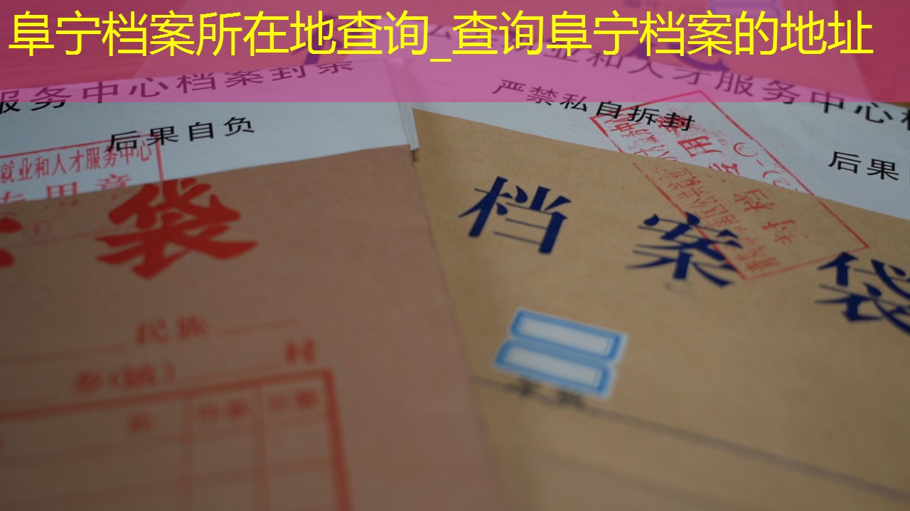 档案查询