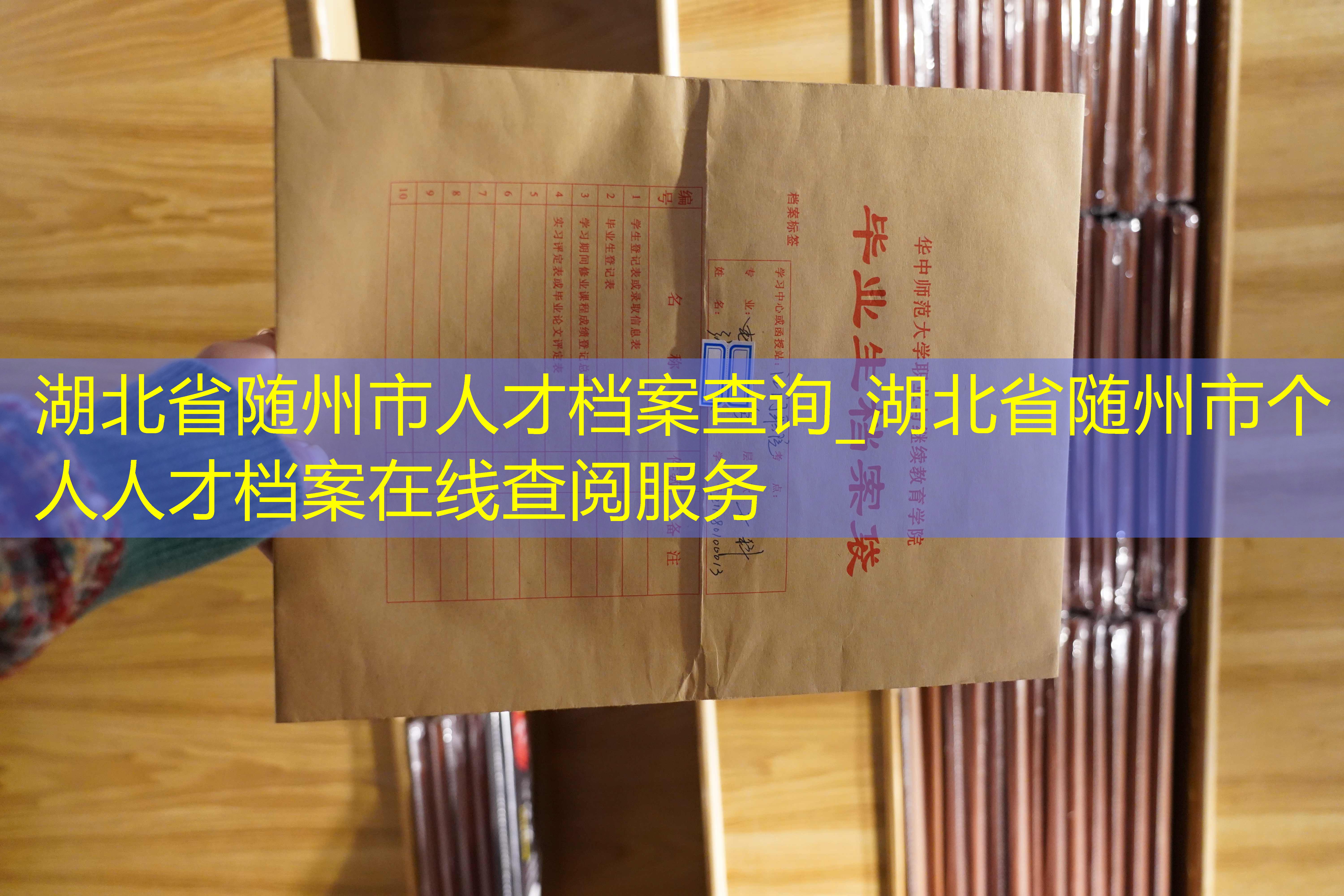 档案查询