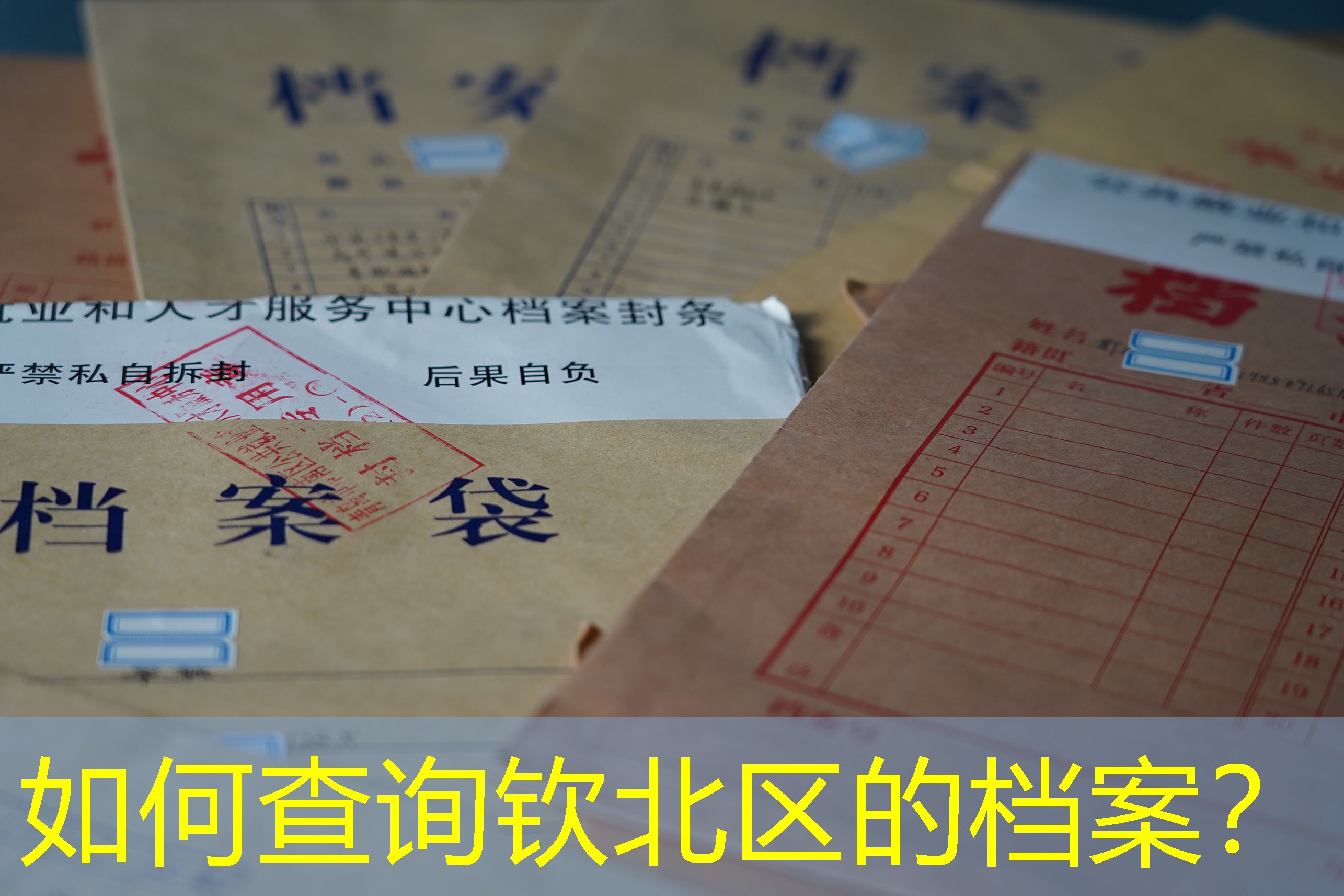 档案查询
