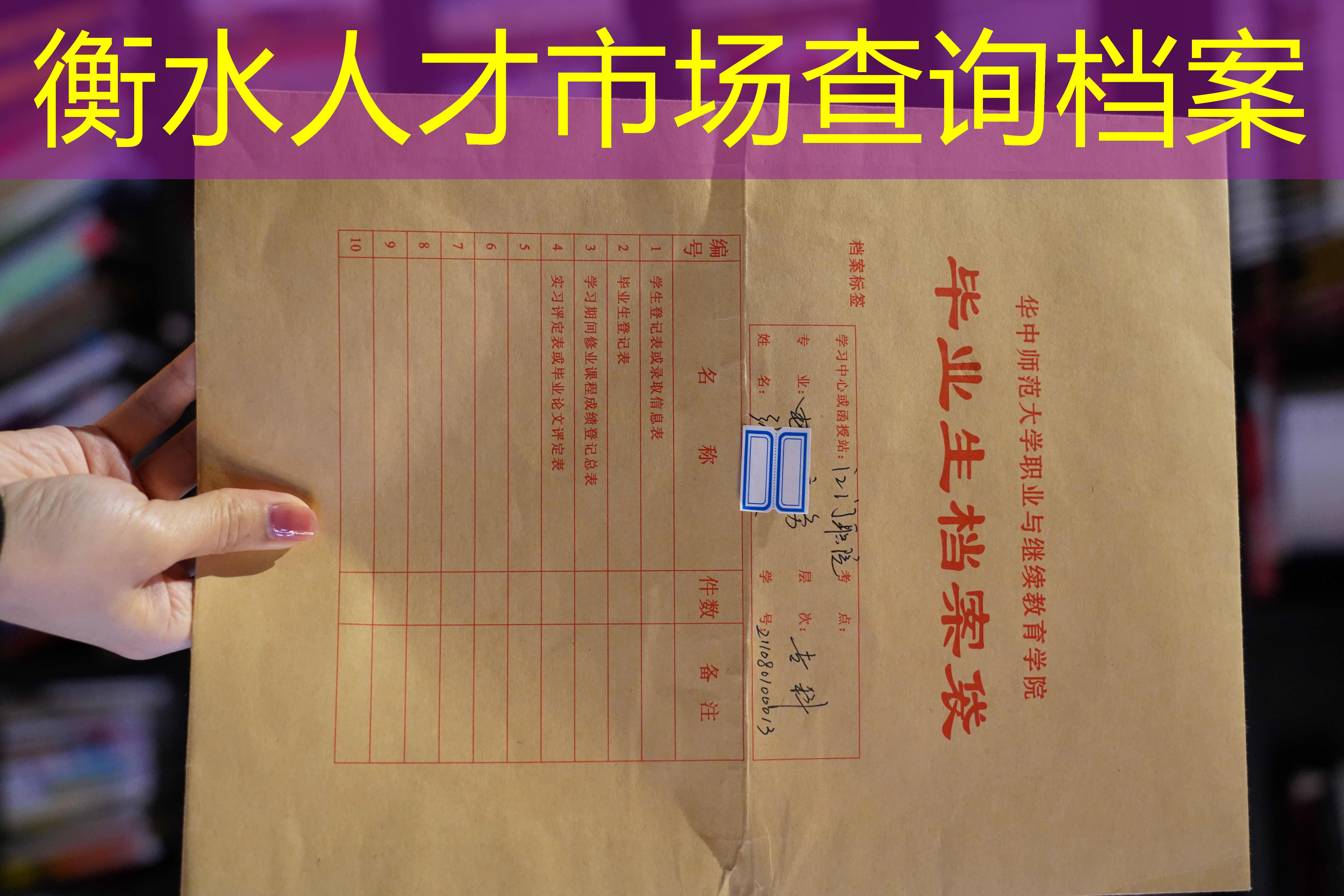 档案查询