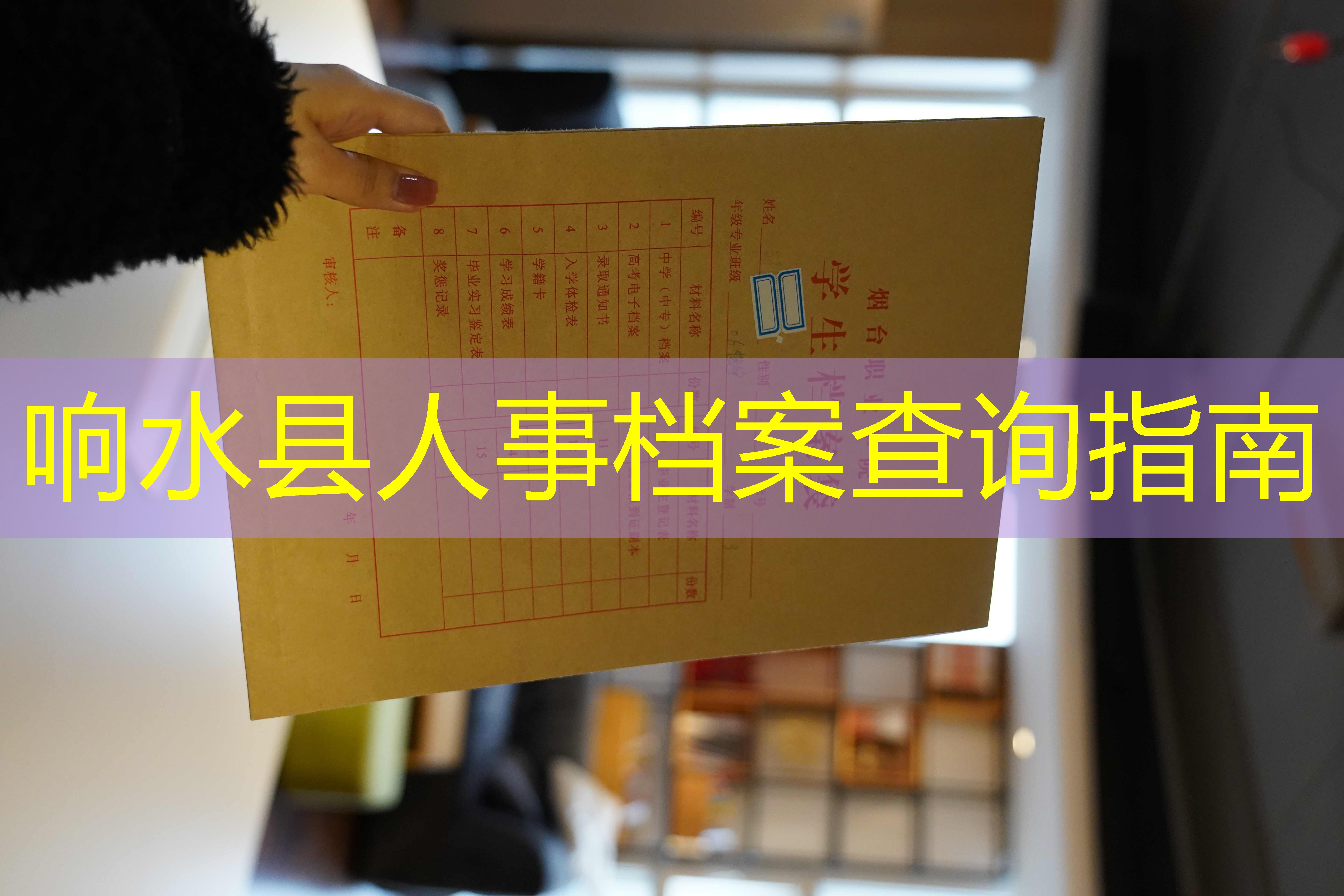 档案查询