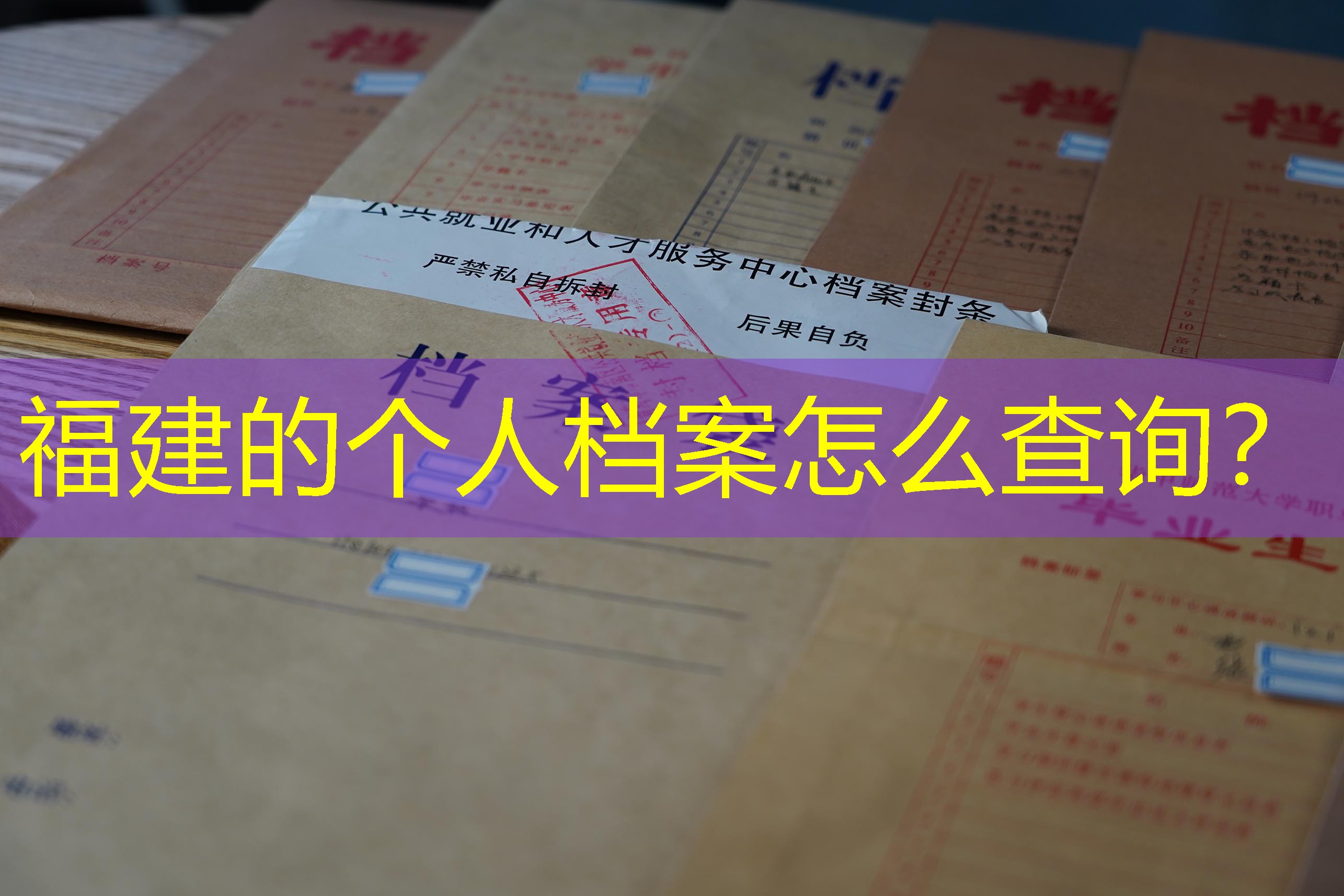 档案查询