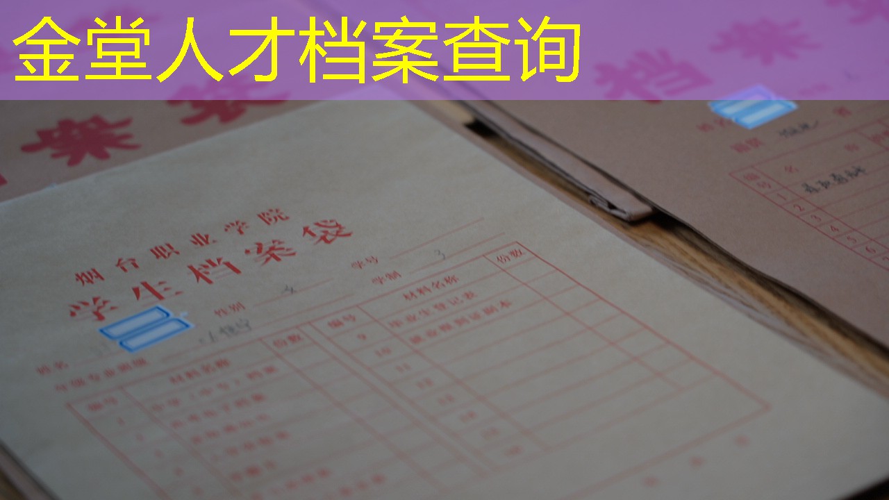 档案查询