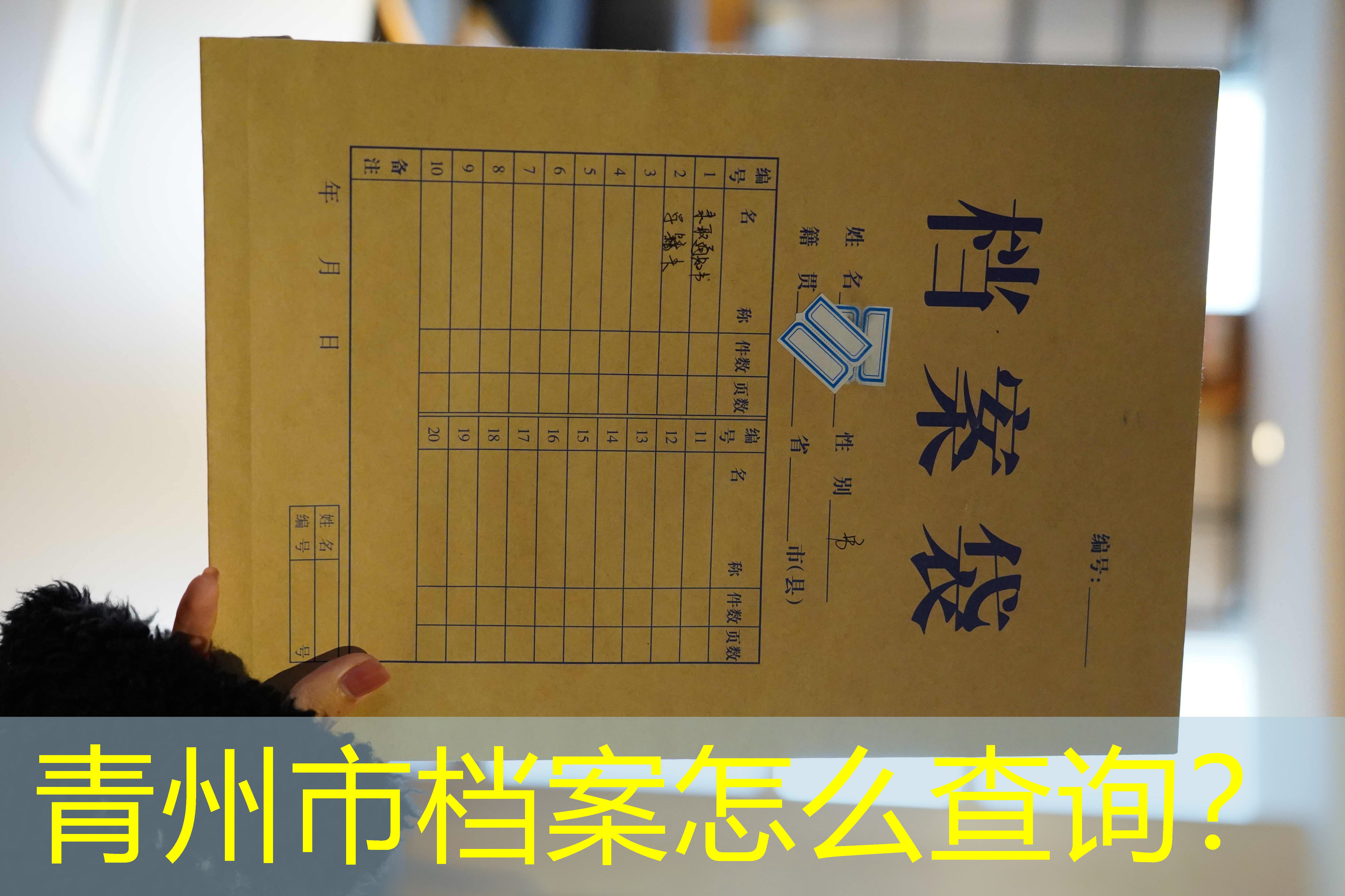 档案查询