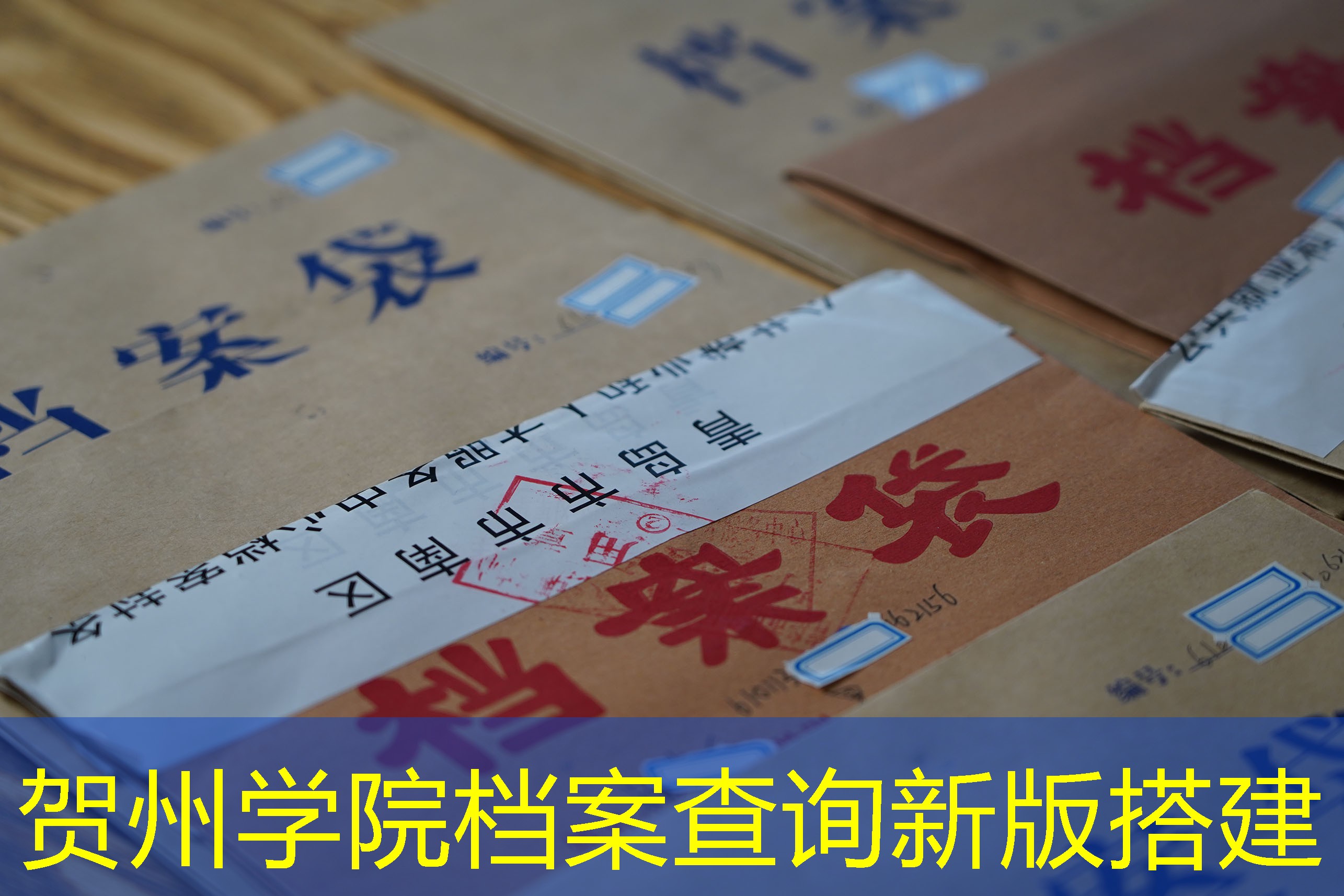 档案查询