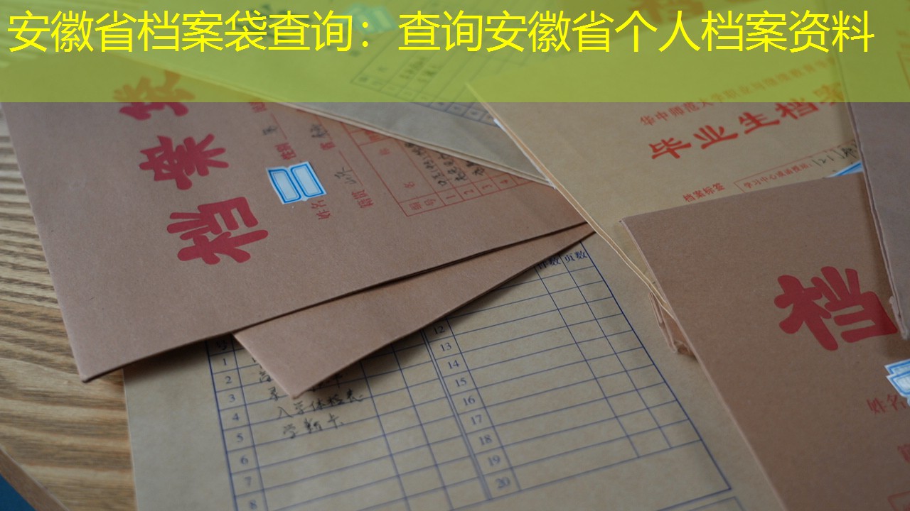 档案查询