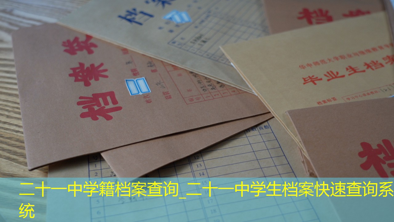 档案查询