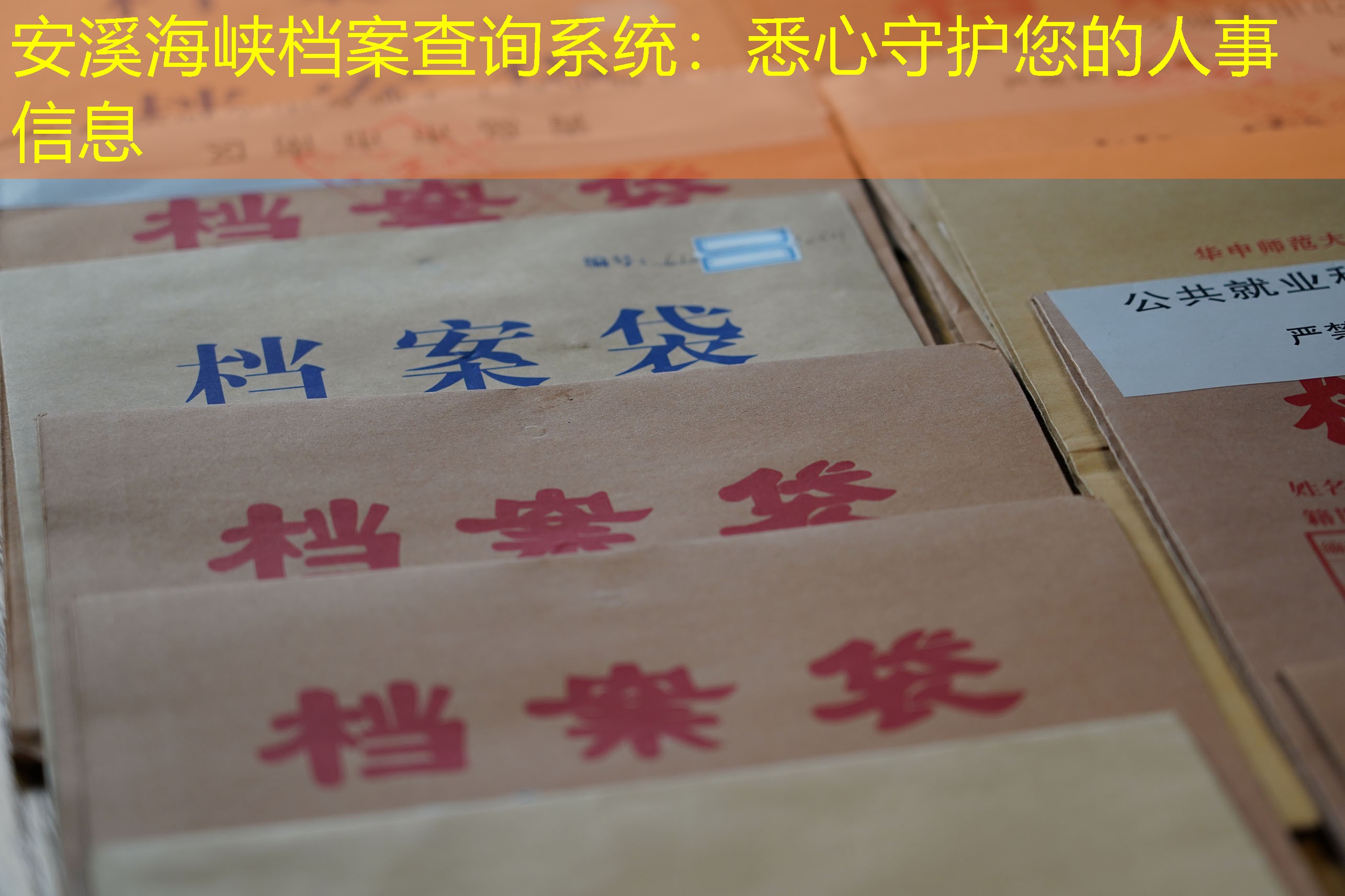 档案查询