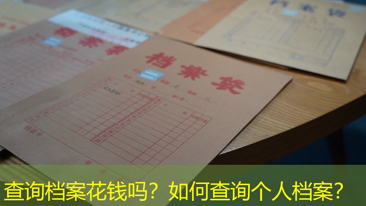 档案查询