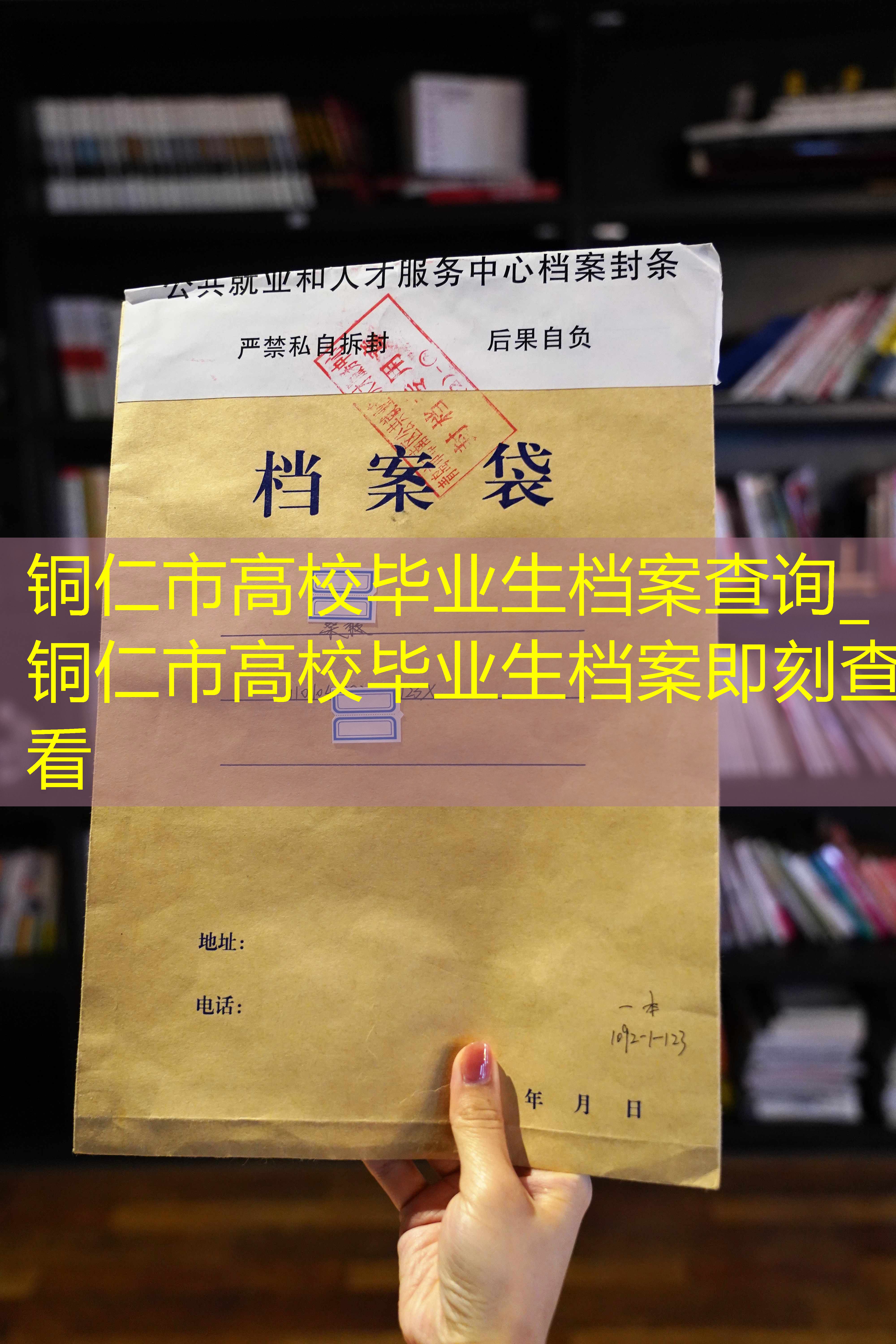 档案查询