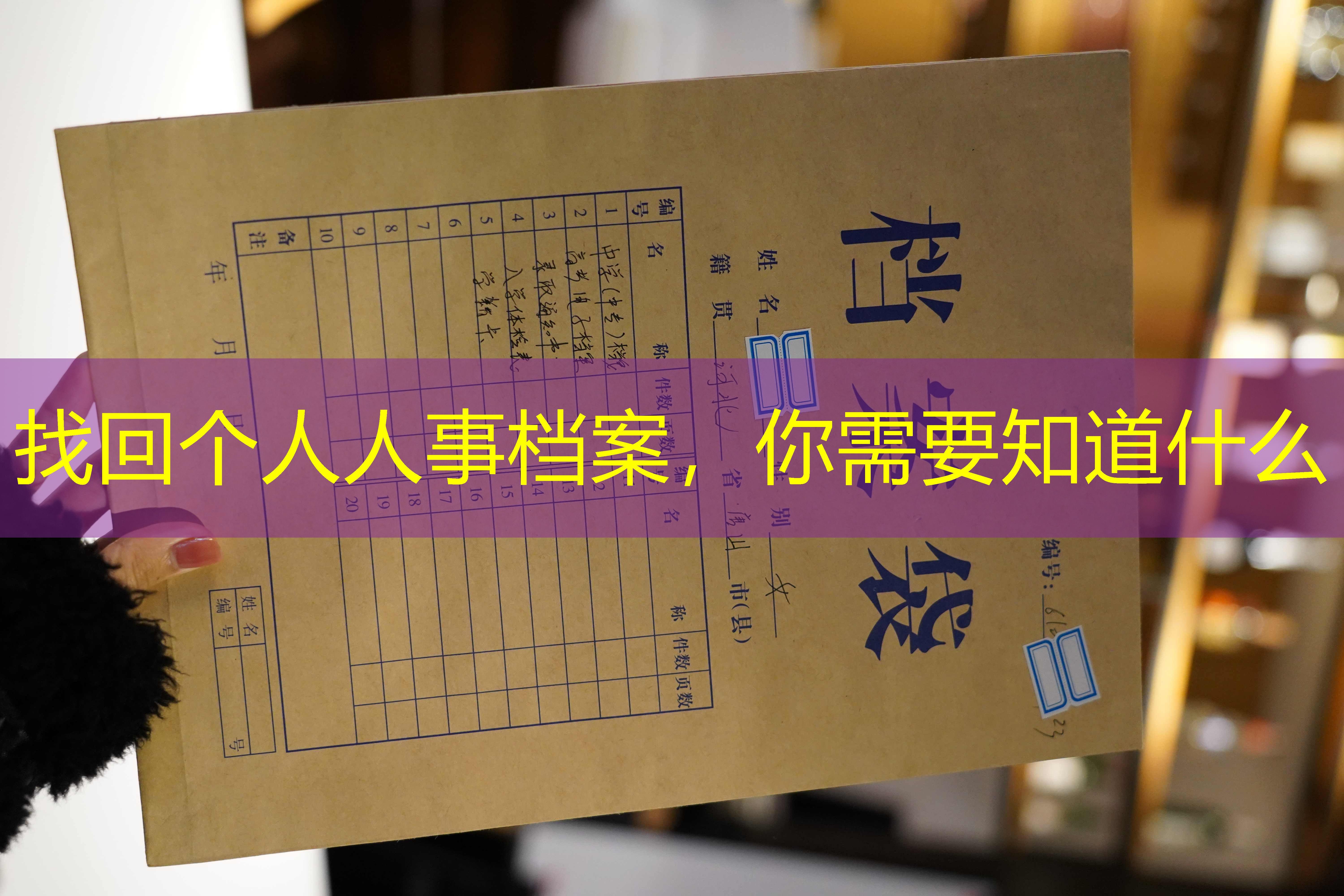 档案查询