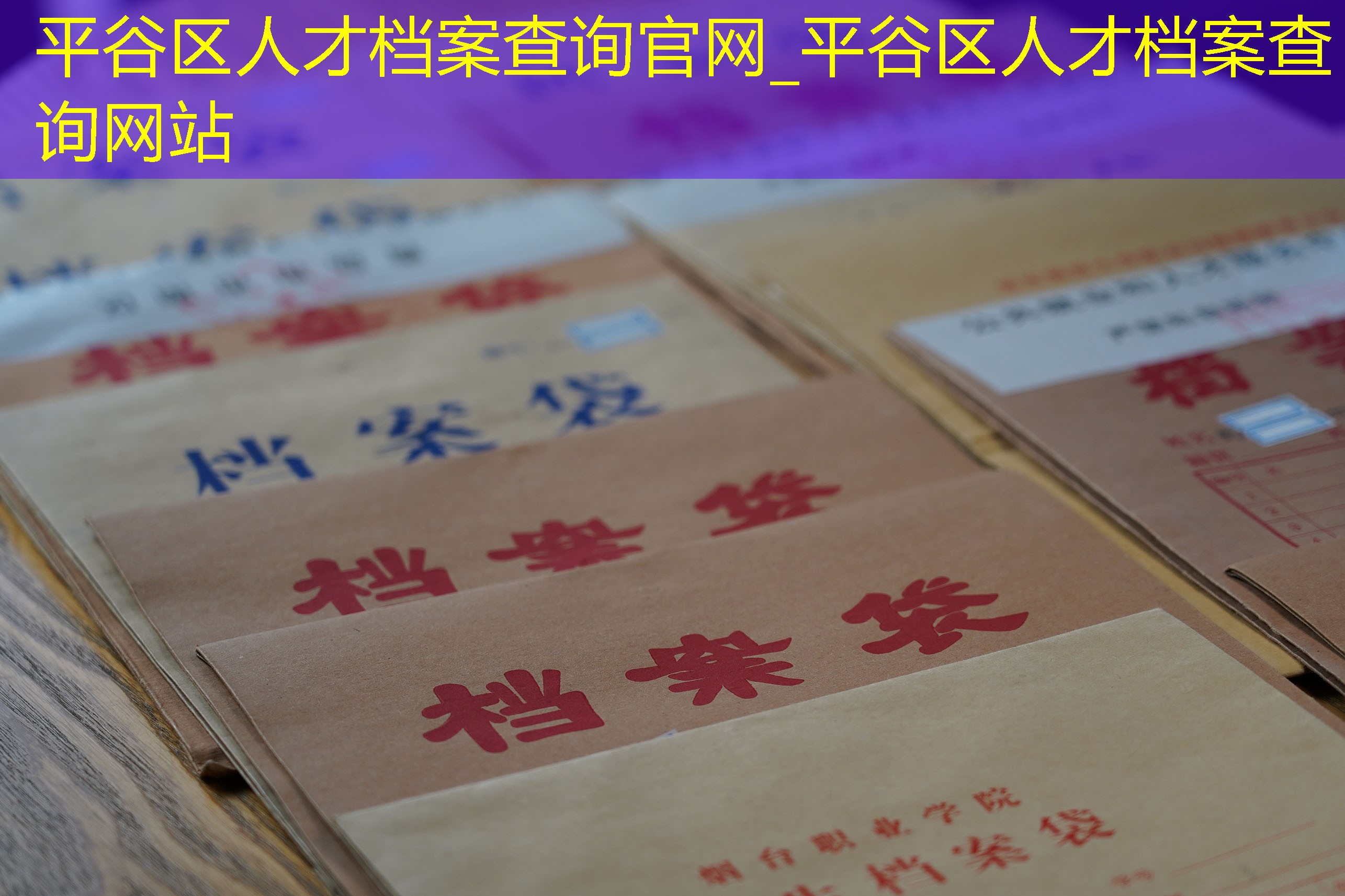 档案查询