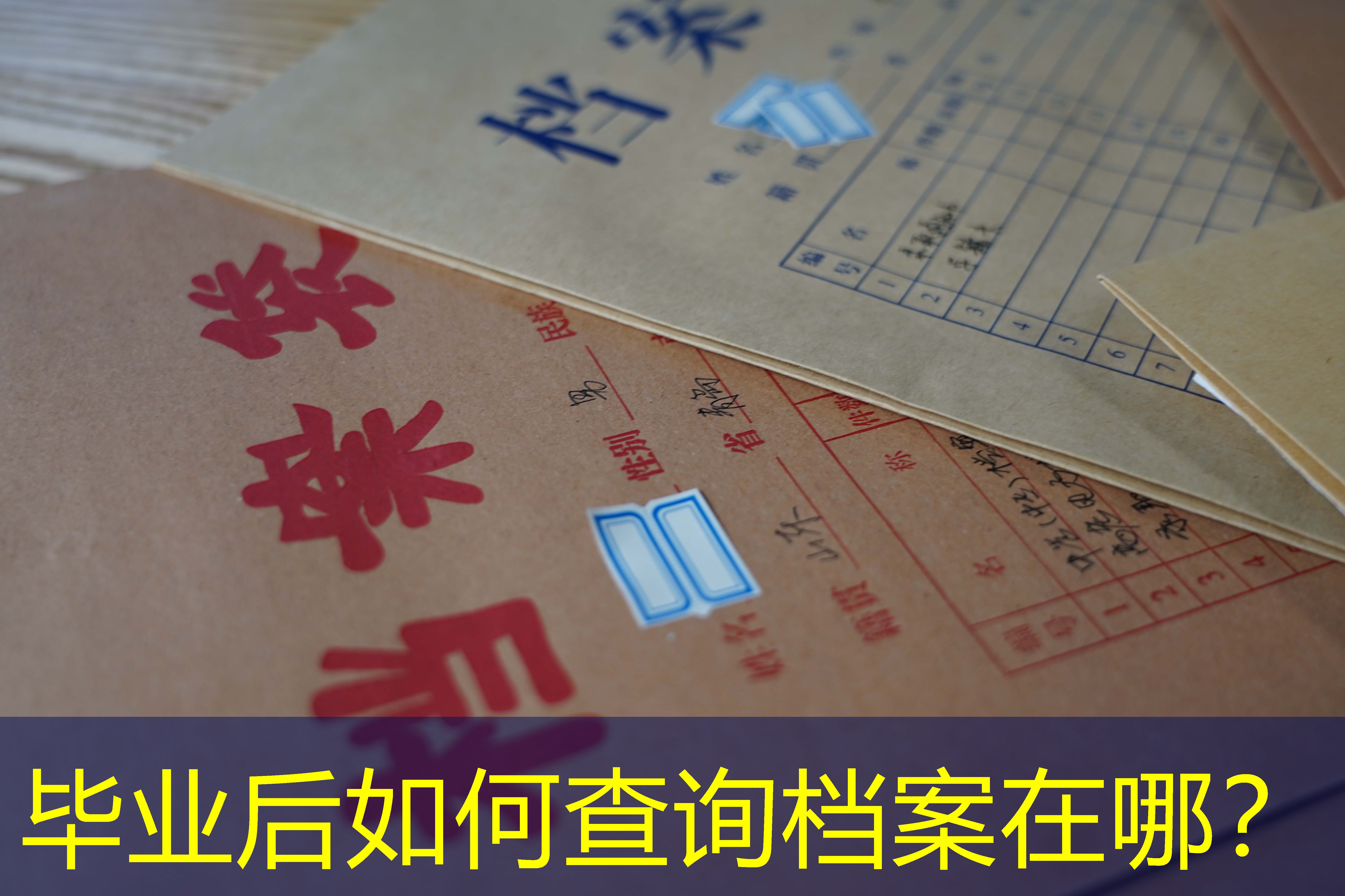 档案查询