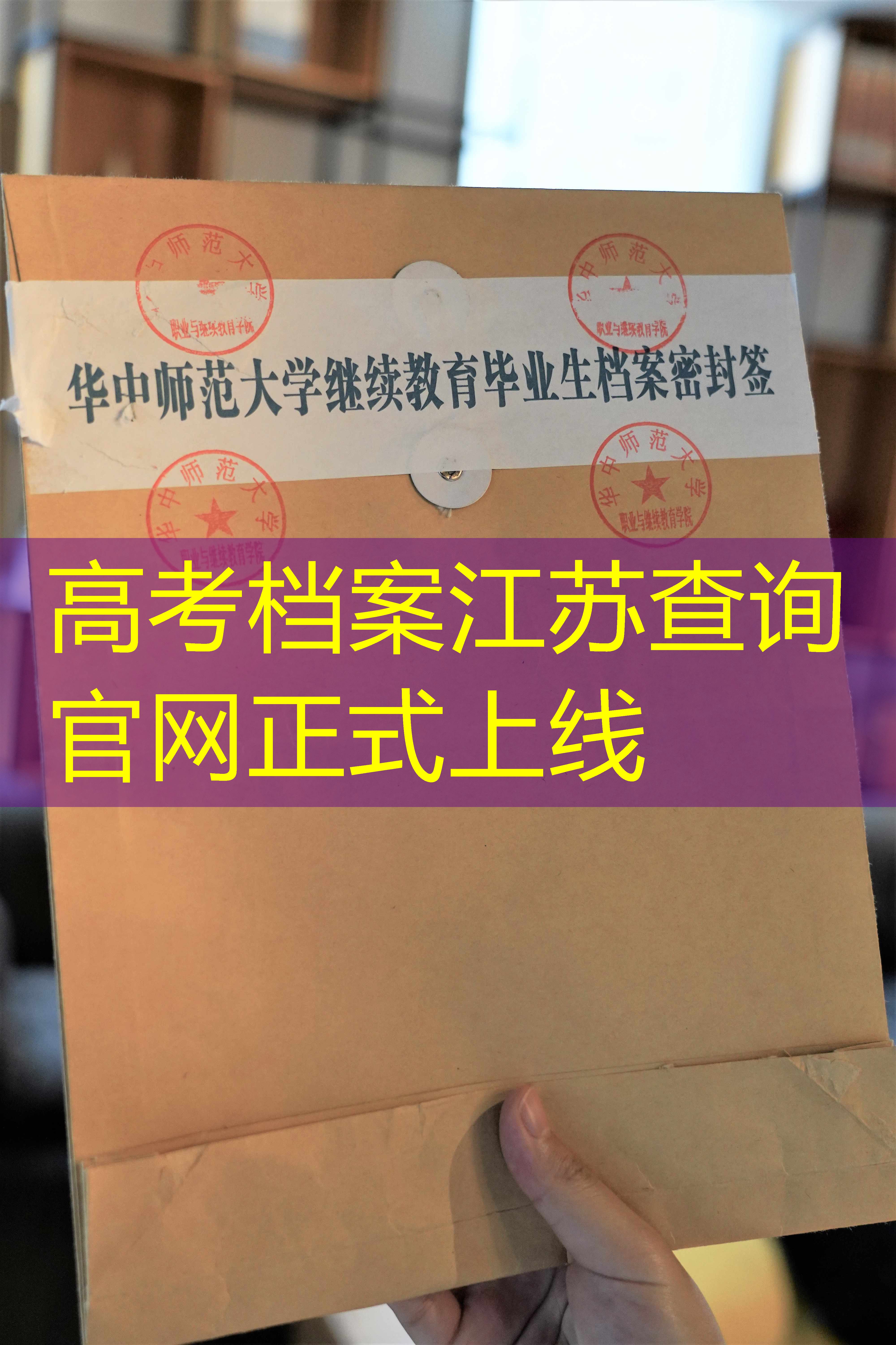 档案查询