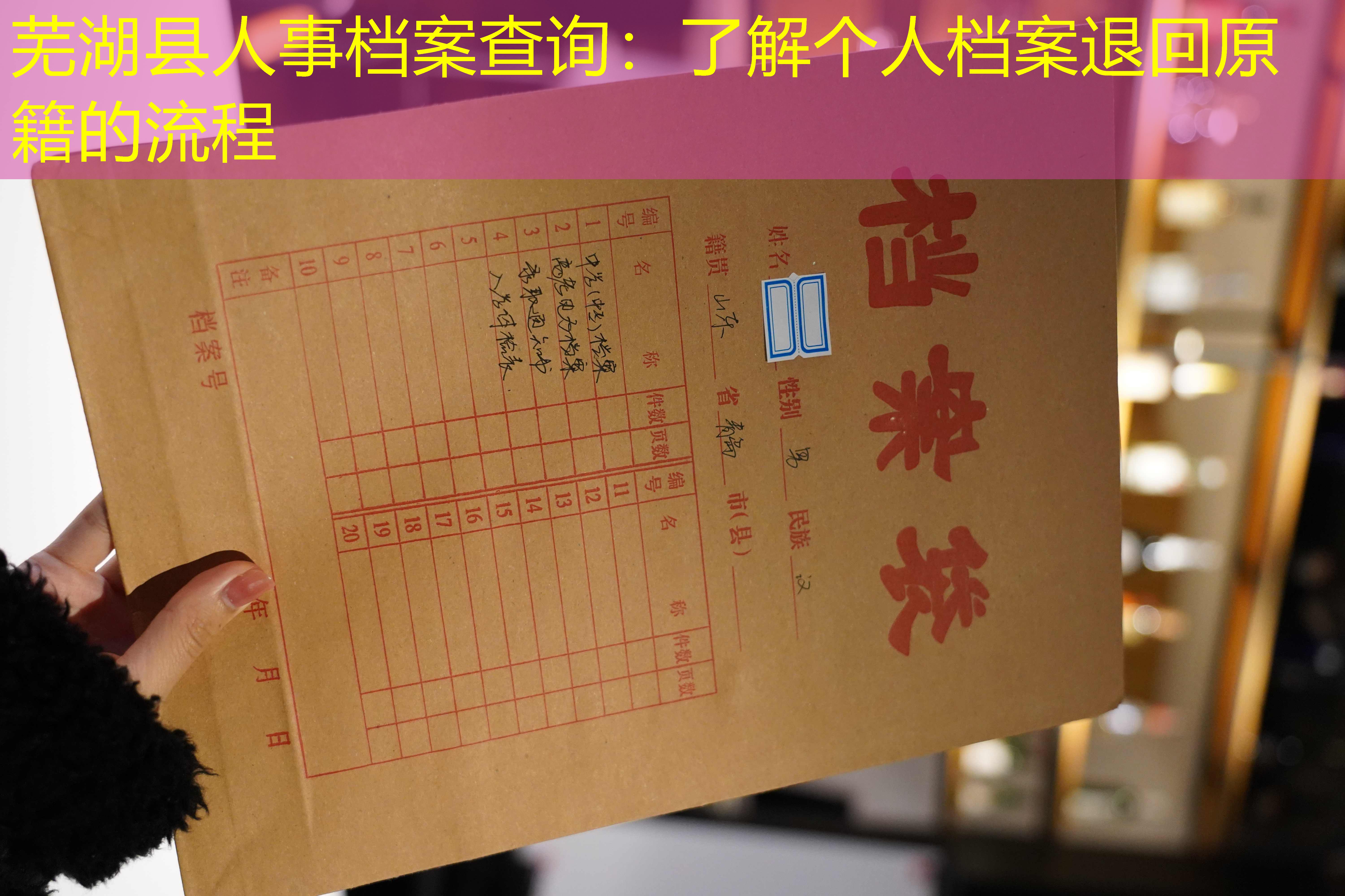 档案查询